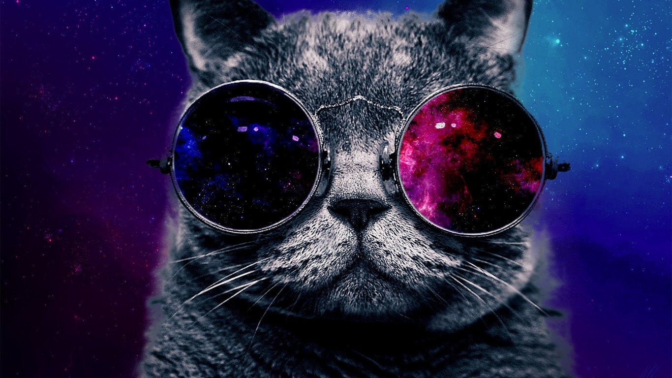Serious Space Cat [1366x768]