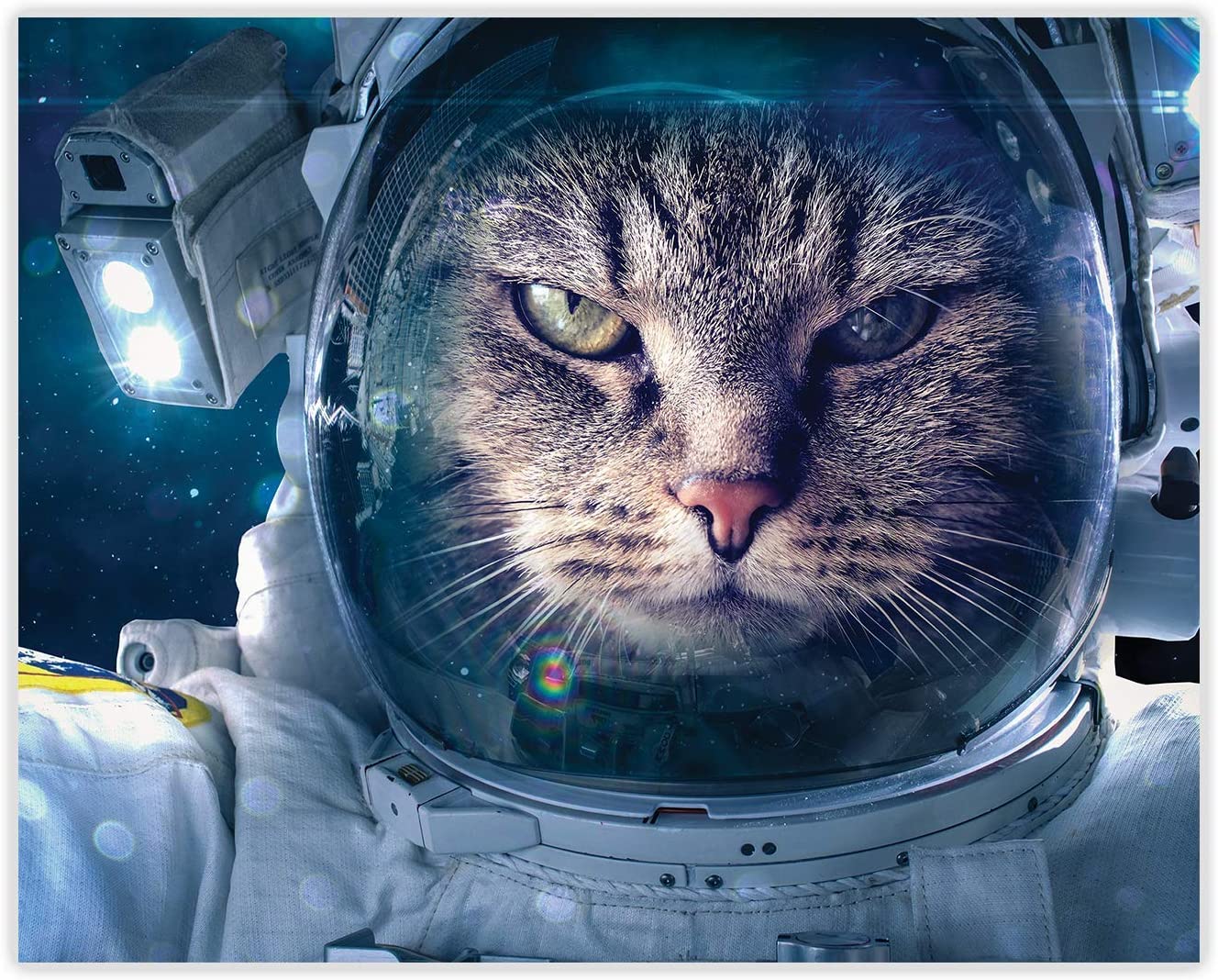 Astronaut Cat Poster Space Prints of 4 (10 x 8) Galaxy Cat Wall Decor Astronaut Cat Art- Space Poster, Home Decor Picture for Bedroom: Posters & Prints