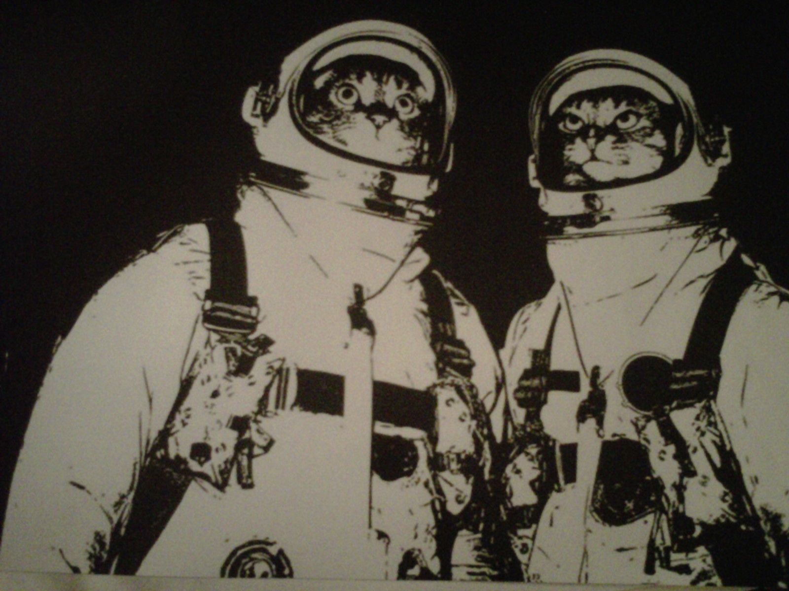 Cat Astronaut Wallpaper Free Cat Astronaut Background