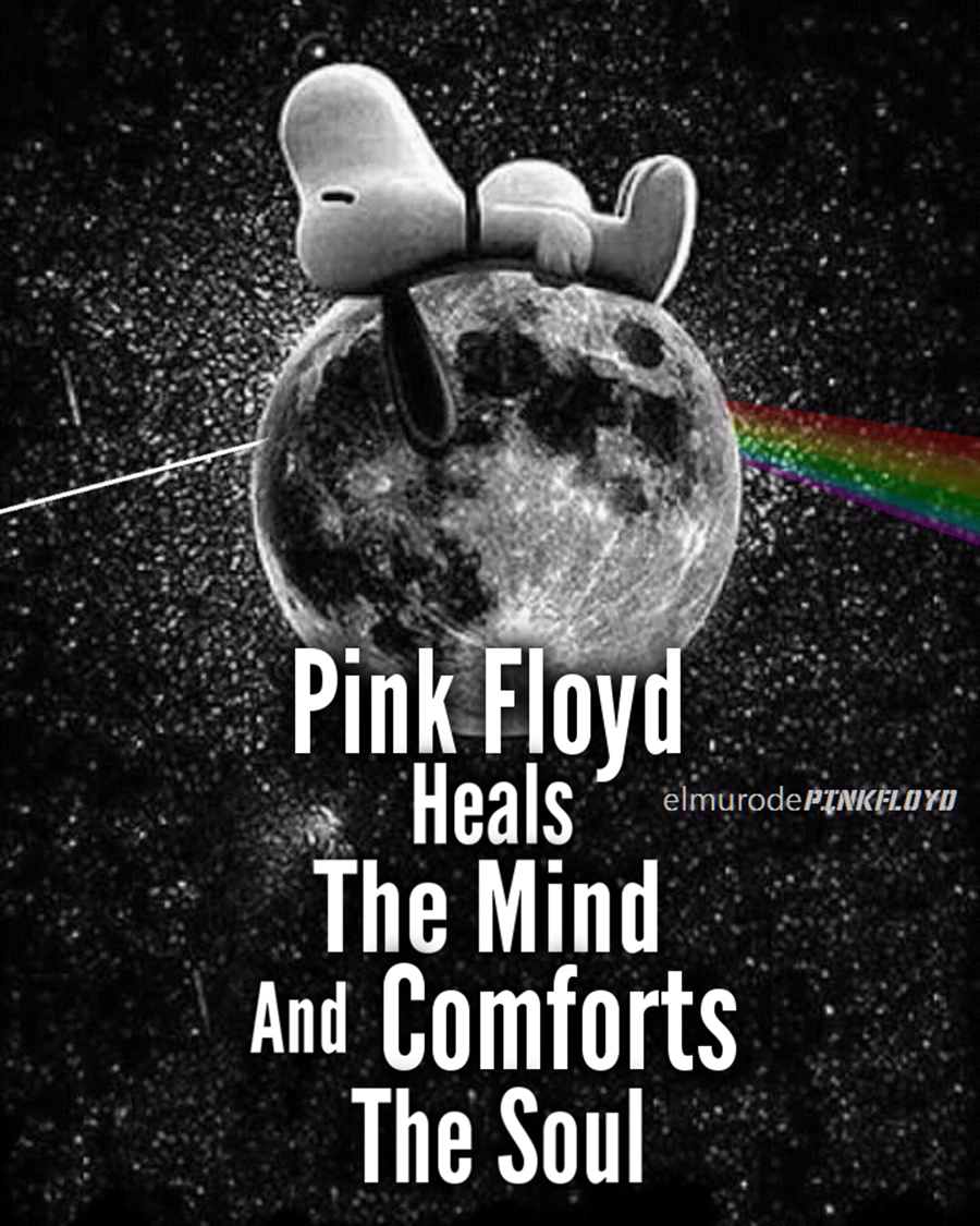 PINK FLOYD- Comfortably Numb ideas. pink floyd, floyd, pink floyd comfortably numb