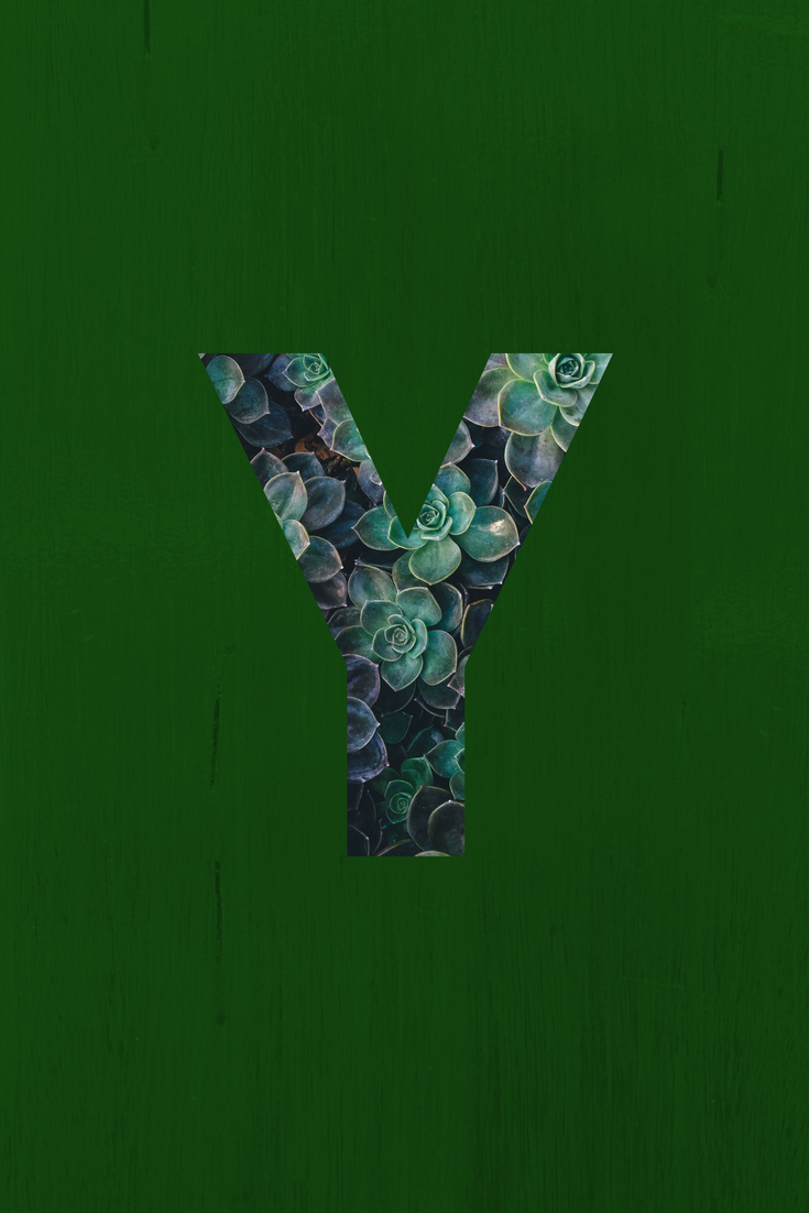 Letter Y Wallpaper