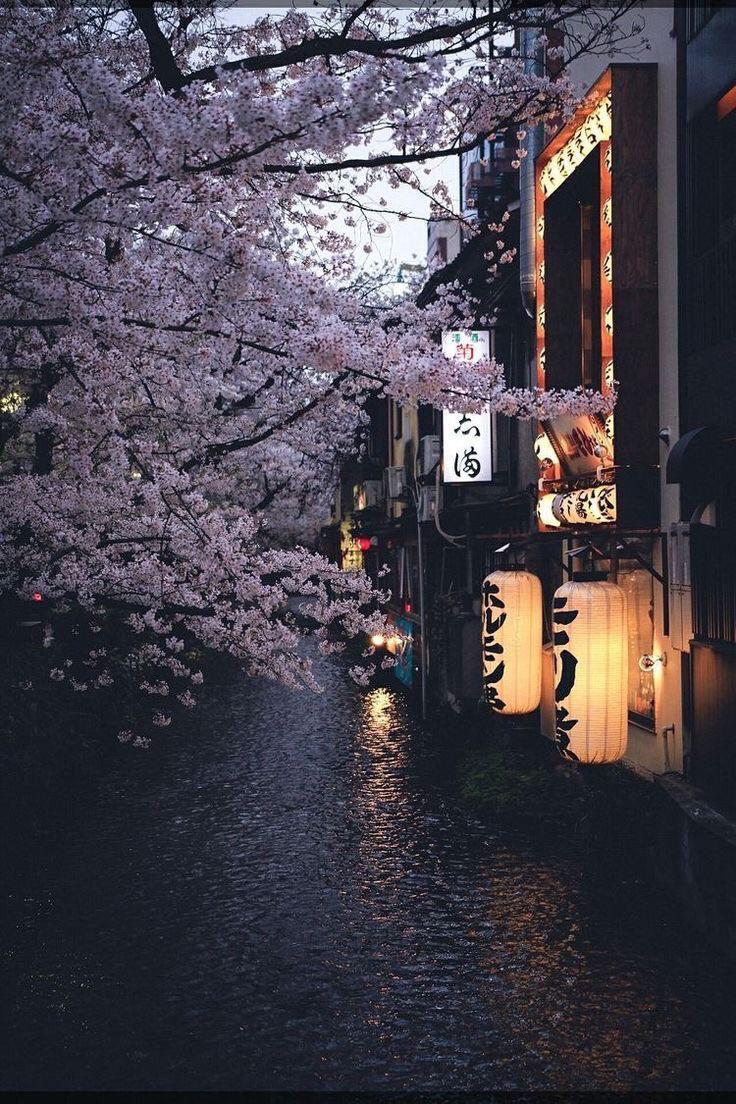 Aesthetic Wallpaper Japan
