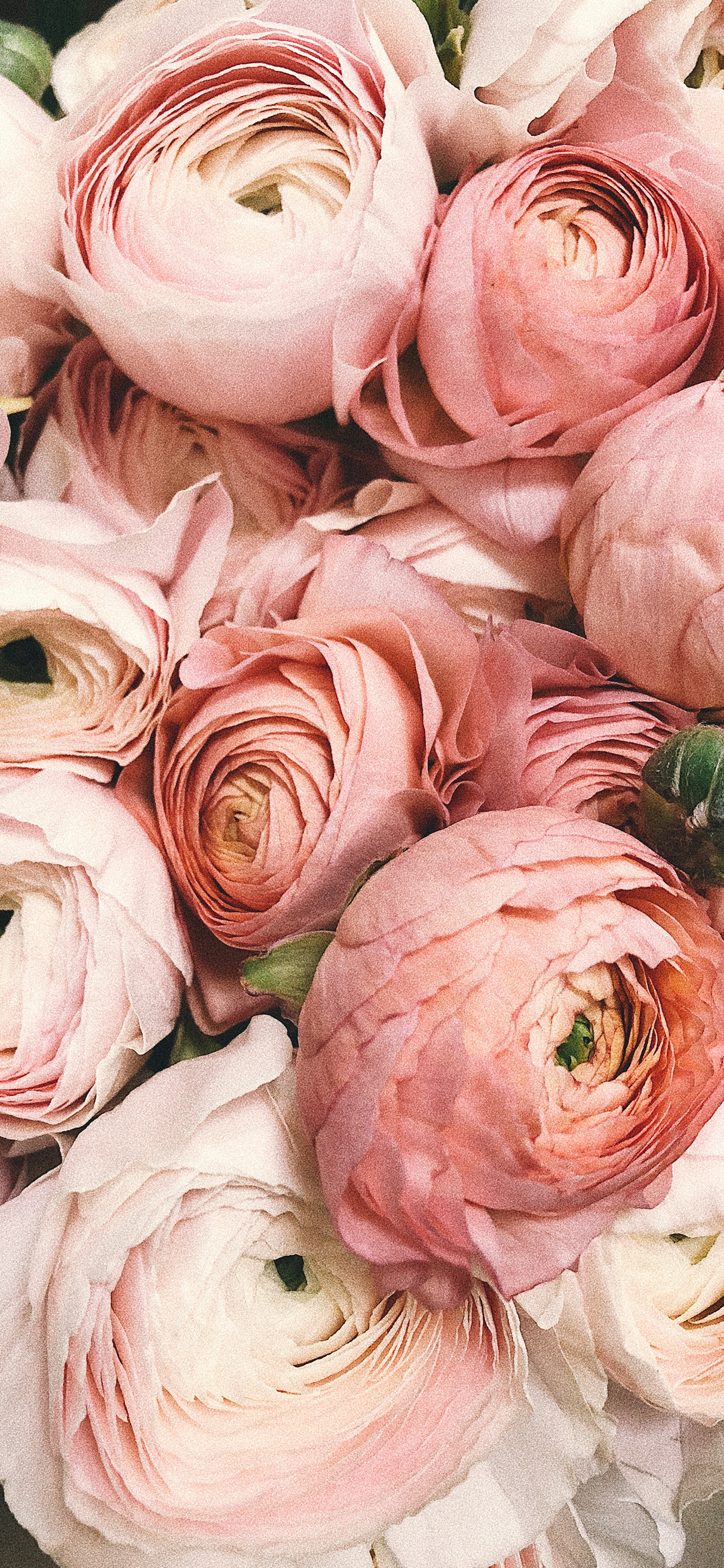 The Best High Res Wallpaper For Your New iPhone 13 Phone