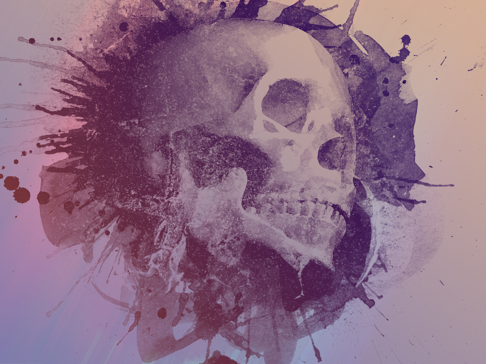 Skull Sketches Wallpapers Wallpaper Cave