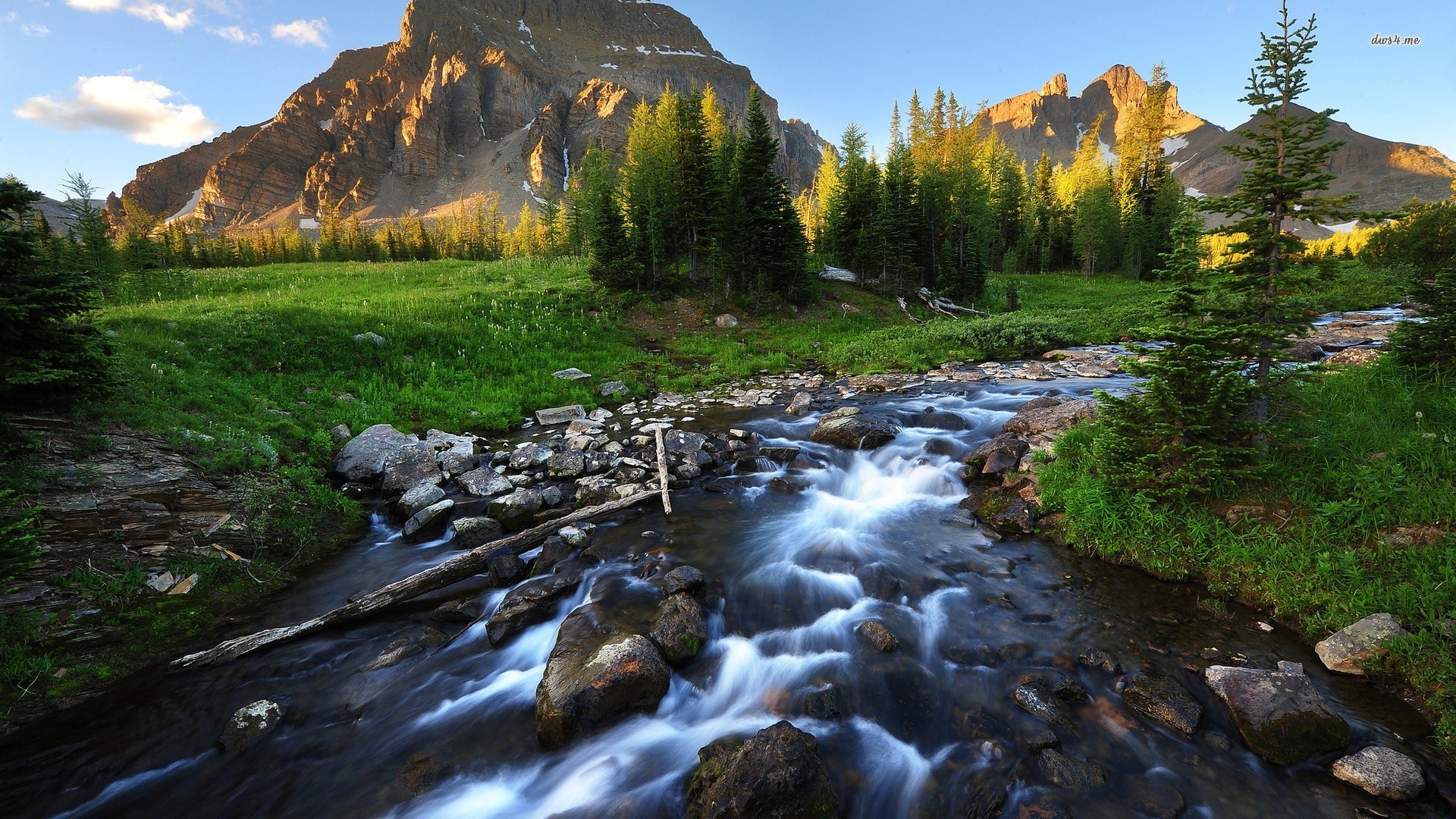 Mountain stream HD wallpaper