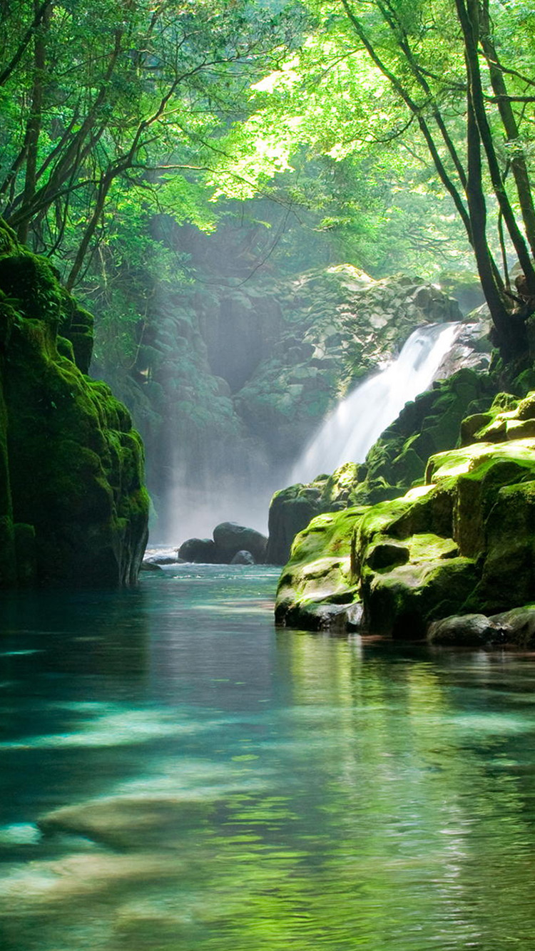 Green fresh mountain stream Free Download Wallpaper for Phones