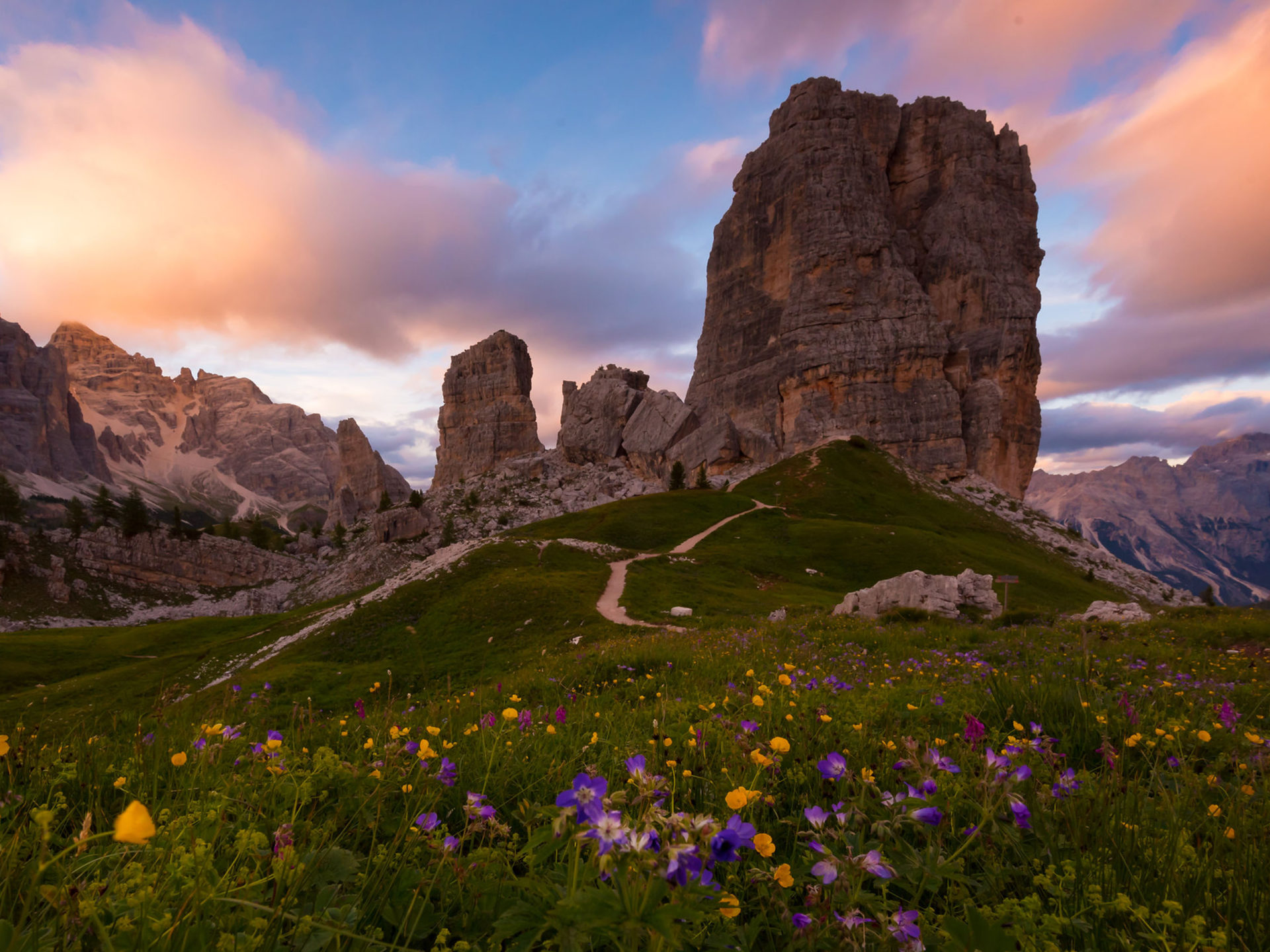 Cinque Torri And Dolomites Veneto Italy Wildflowers Sunset Pink Flowers Blue Sky Desktop HD Wallpaper For Pc Tablet And Mobile Download, Wallpaper13.com