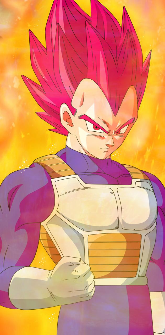 Vegeta ssj god wallpaper