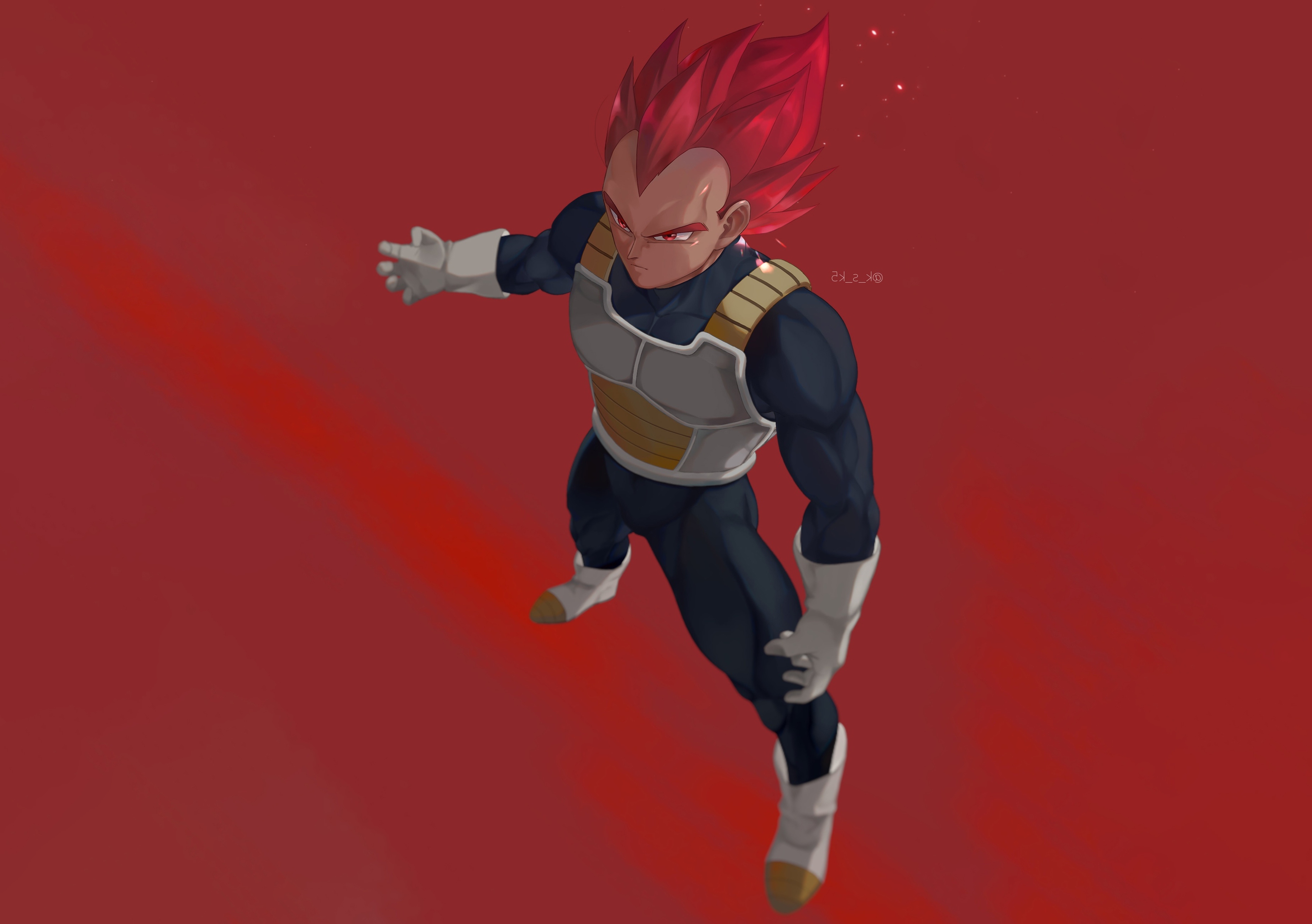 Wallpaper Vegeta, Super Saiyan God, Dragon Ball Super:3686x2596