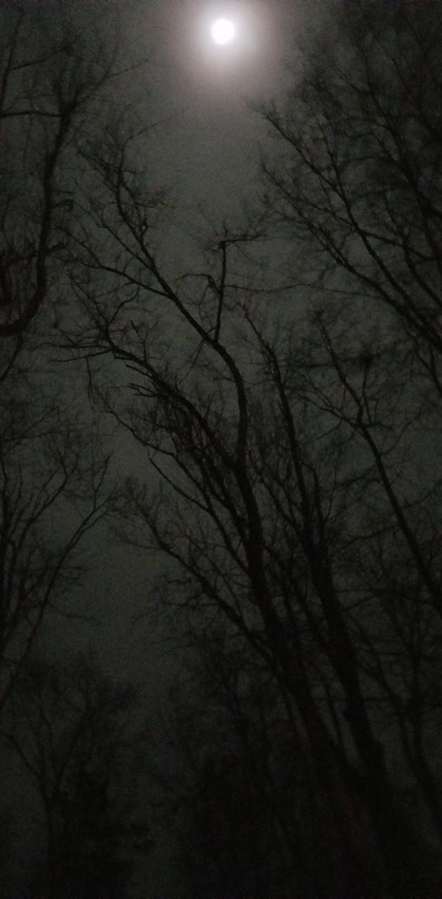 Cloudy Night Sky wallpaper