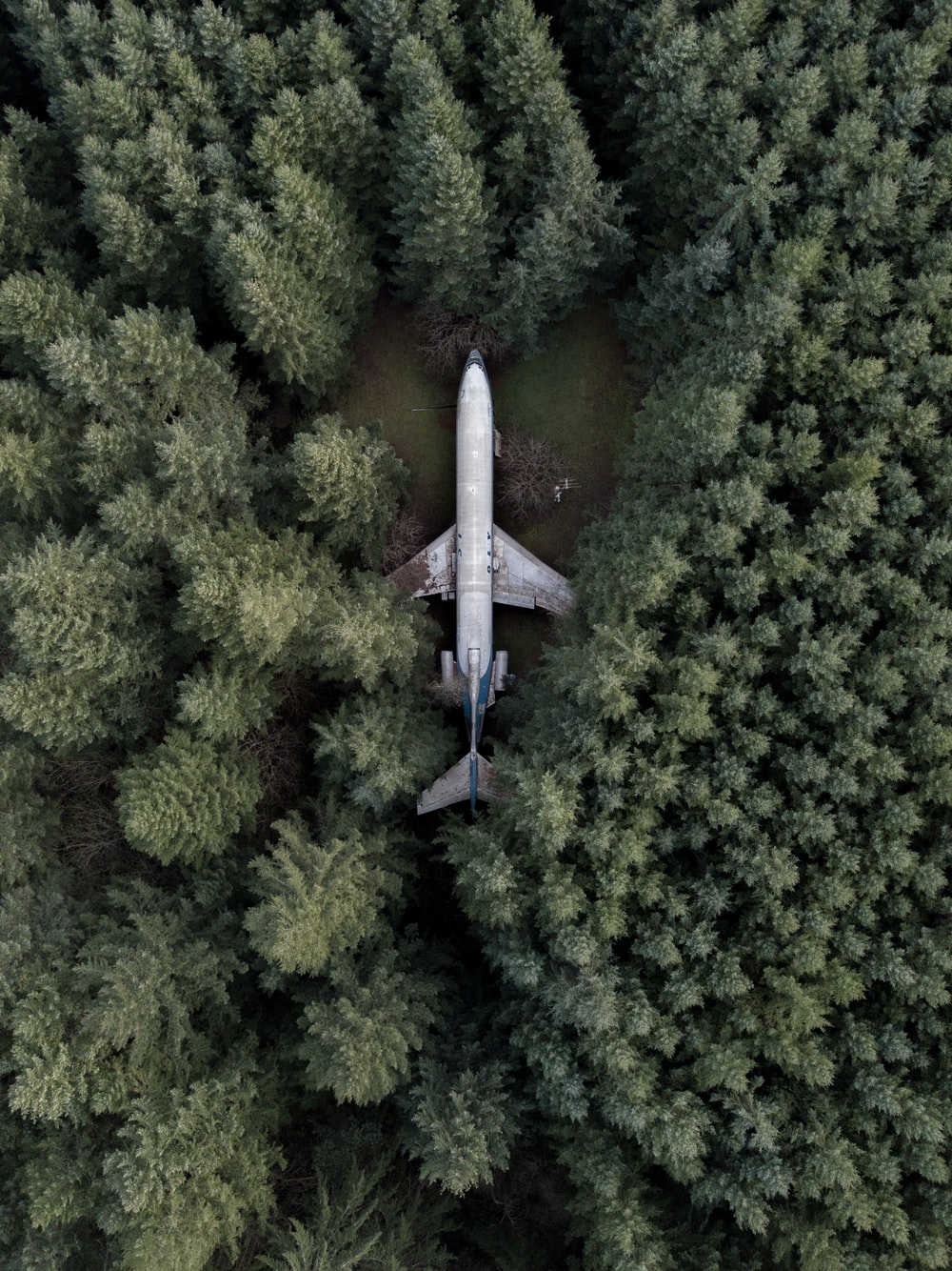 aerial photography of gray airplane photo