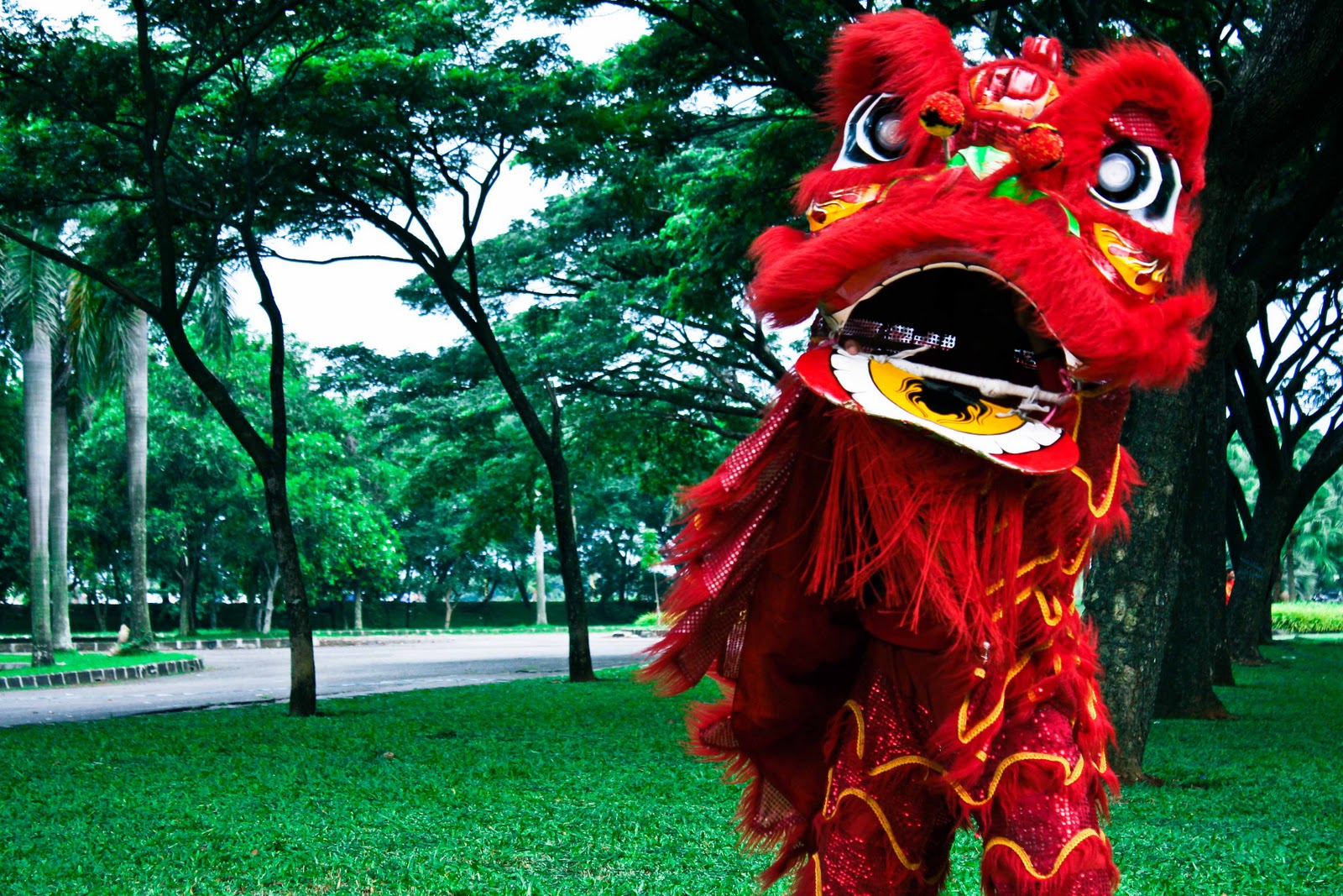 Charmian Chen: Best Barongsai Photo Wallpaper