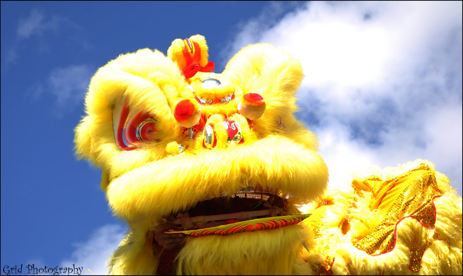 Charmian Chen: Best Barongsai Photo Wallpaper