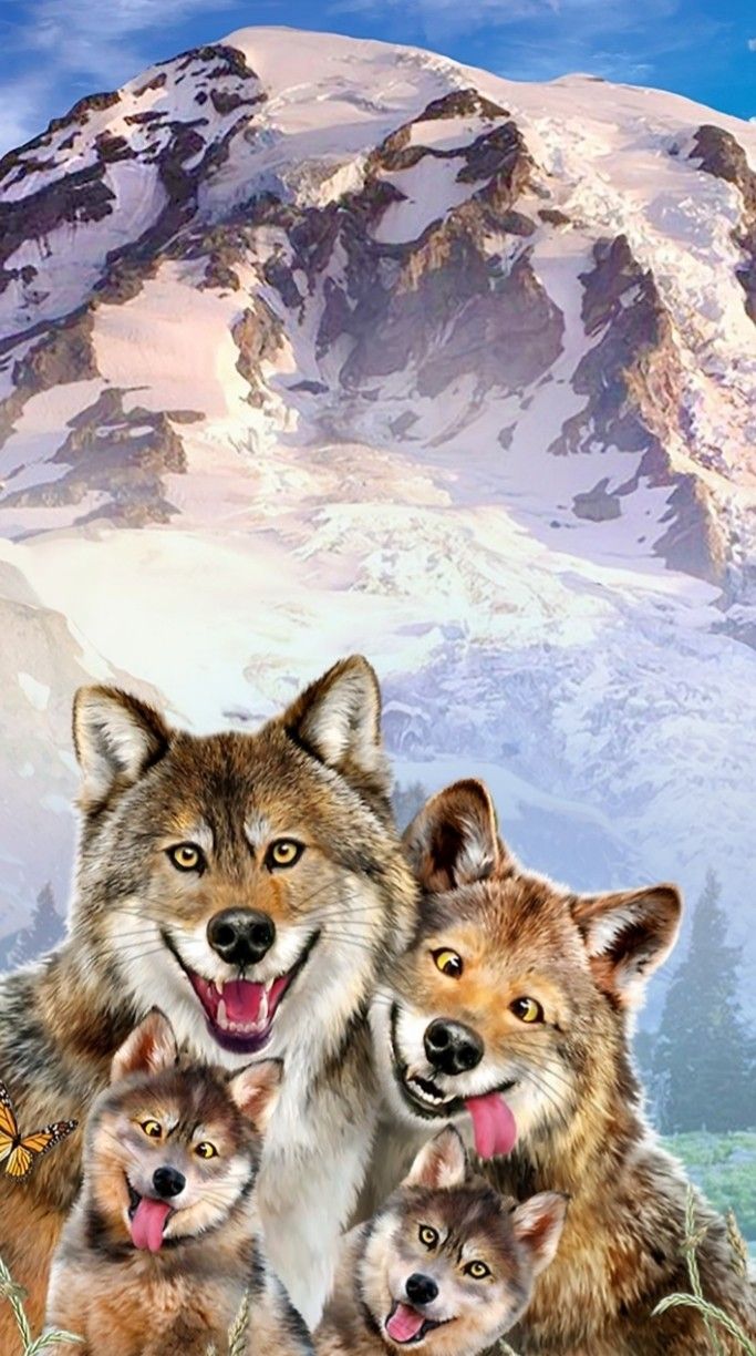 Wolf Wallpaper. Pet fox, Funny animals, Animals