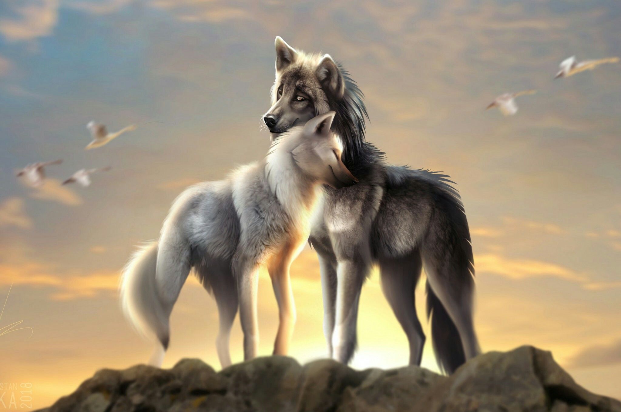 Wolves. Wolf image, Wolf wallpaper, Wolf background