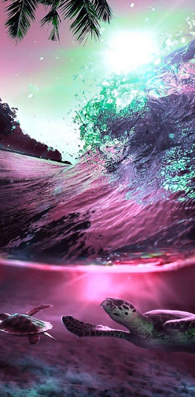 Sea Turtles wallpaper