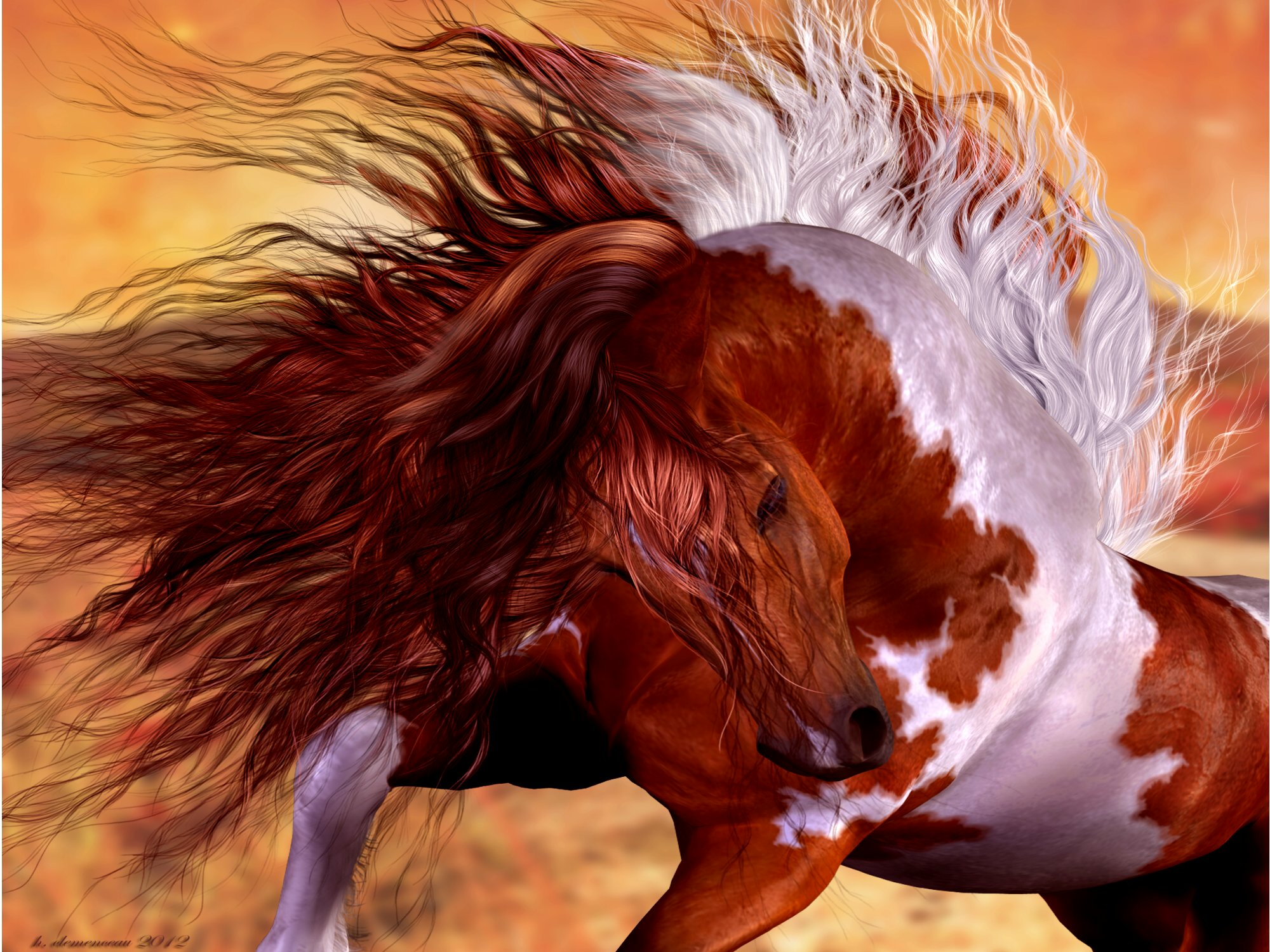 Wild Horse Wallpaper, Picture, Image