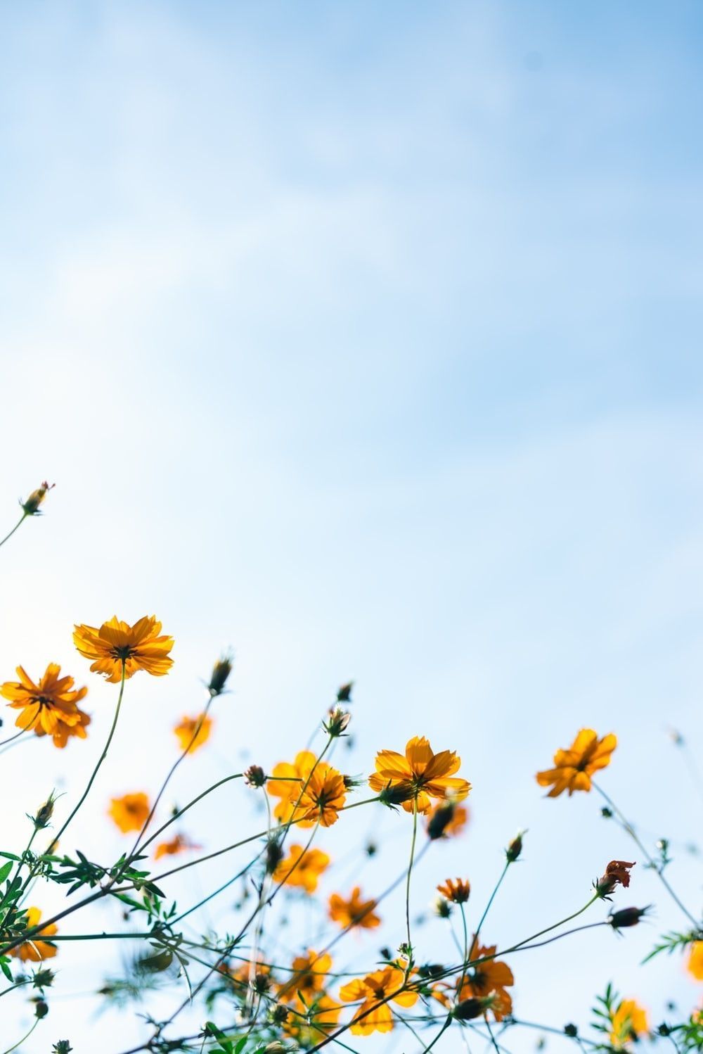 Spring wallpaper, Wallpaper, Wallpaper