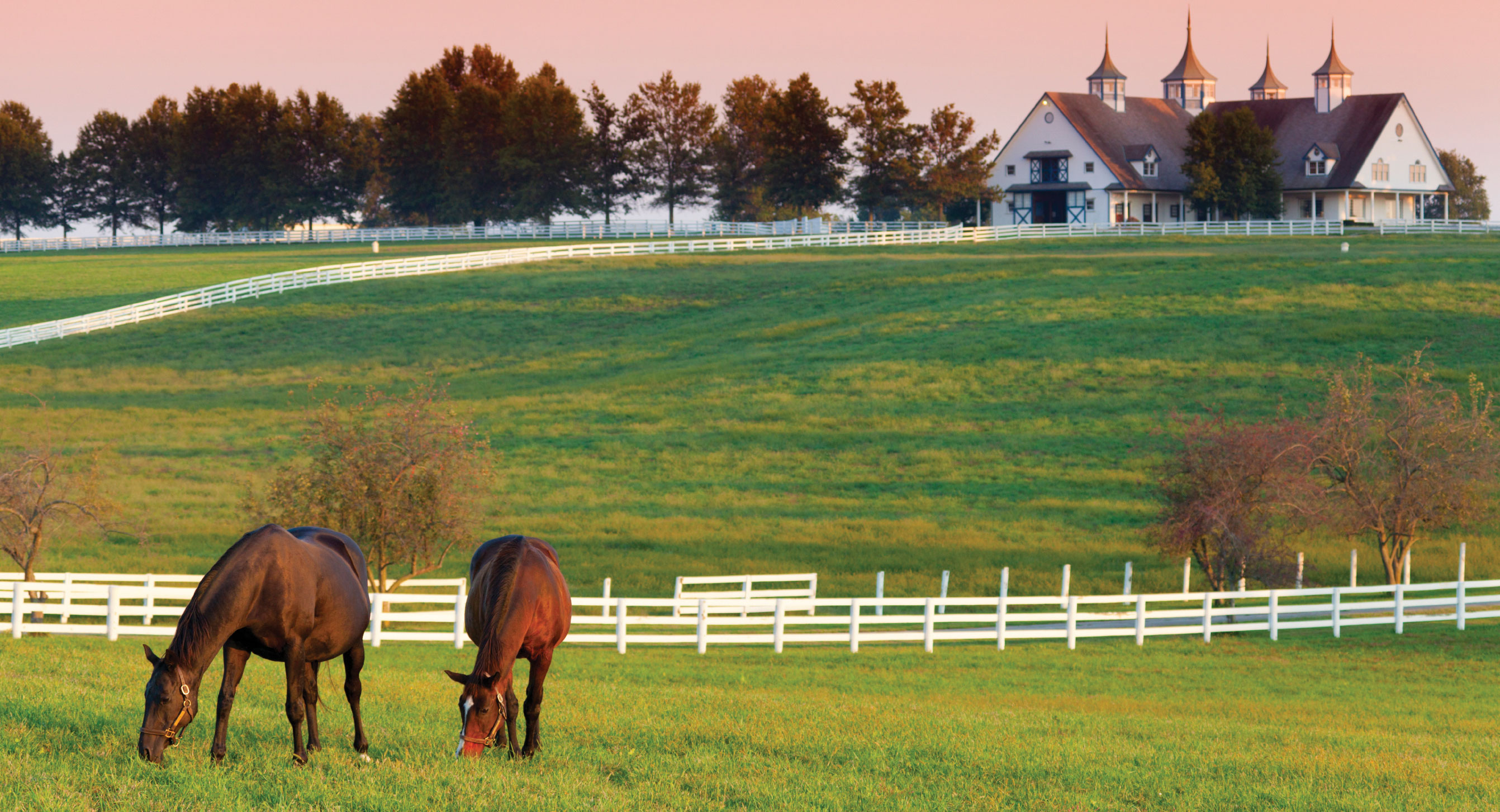 Horse farm. Kentucky horse farms, Horse farms, Horses