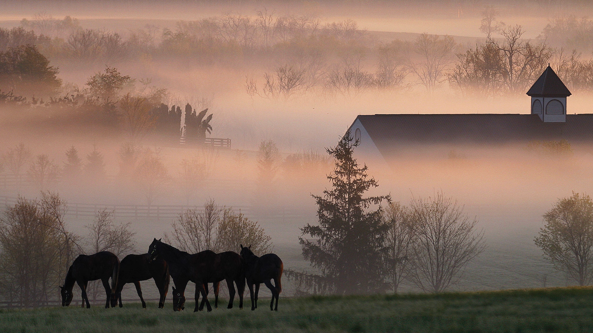 You Can Now Visit The Farms Of The World's Most Famous Horses. Condé Nast Traveler