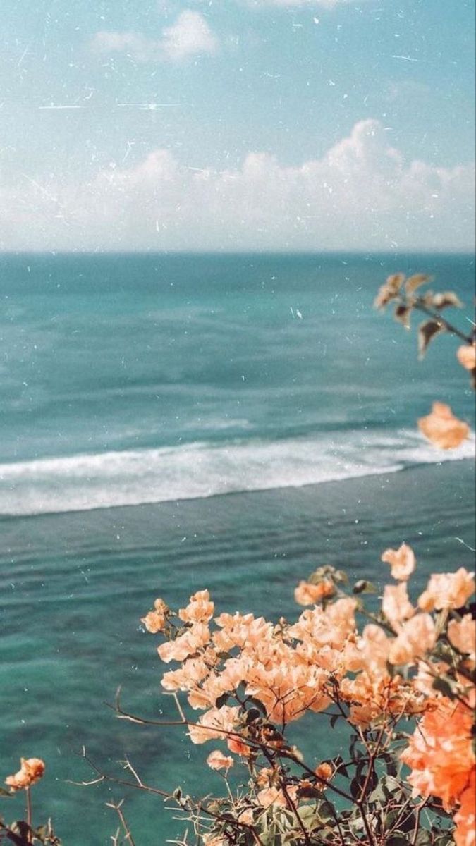 fondo. Ocean flowers, Ocean wallpaper, View wallpaper