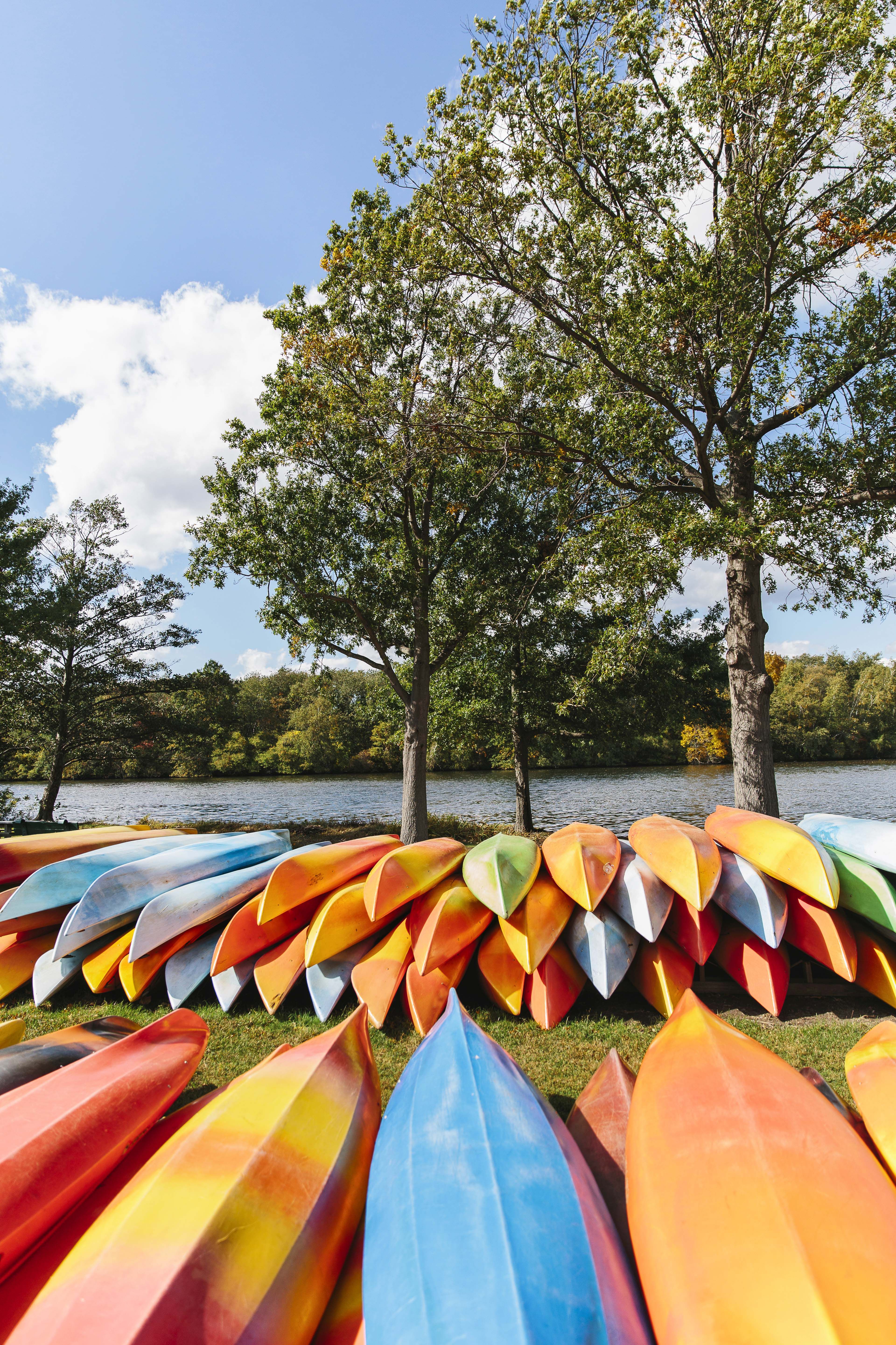 Best Summer Quotes Warm Weather Sayings