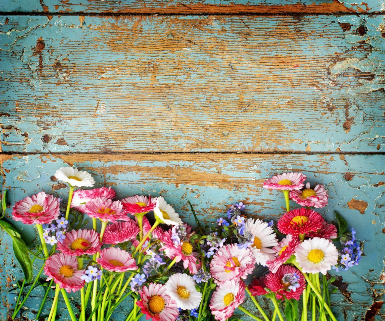 Rustic Spring Wallpaper Free Rustic Spring Background