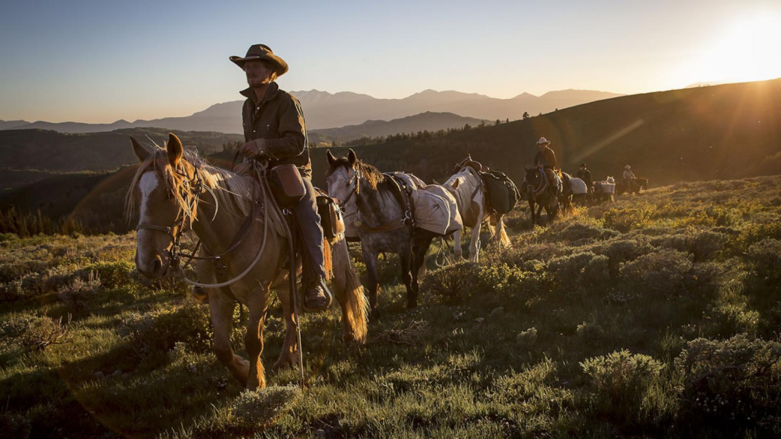 Adventurers Face Danger in Exclusive 'Unbranded' Poster