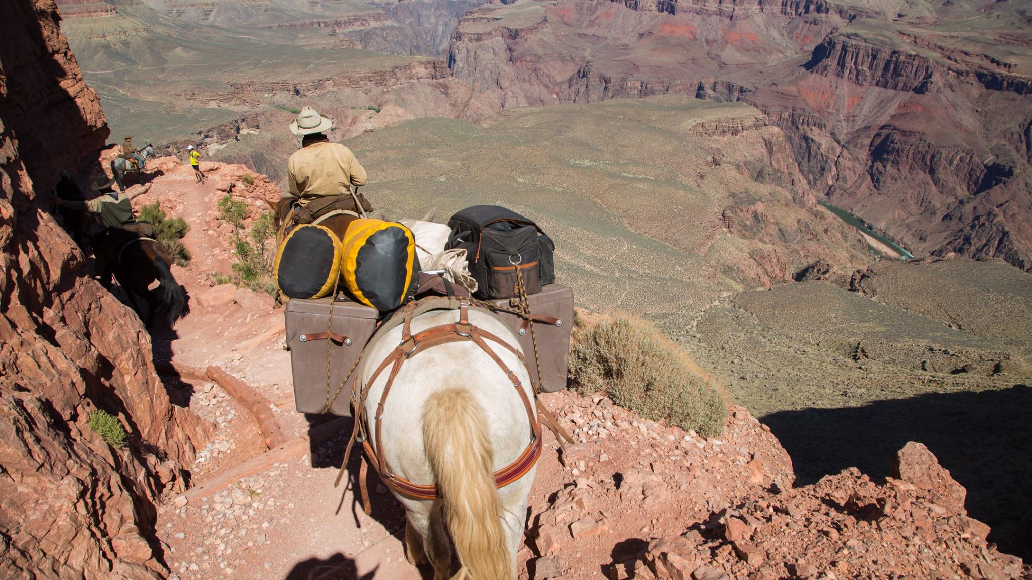 UnBranded « nwequine.com