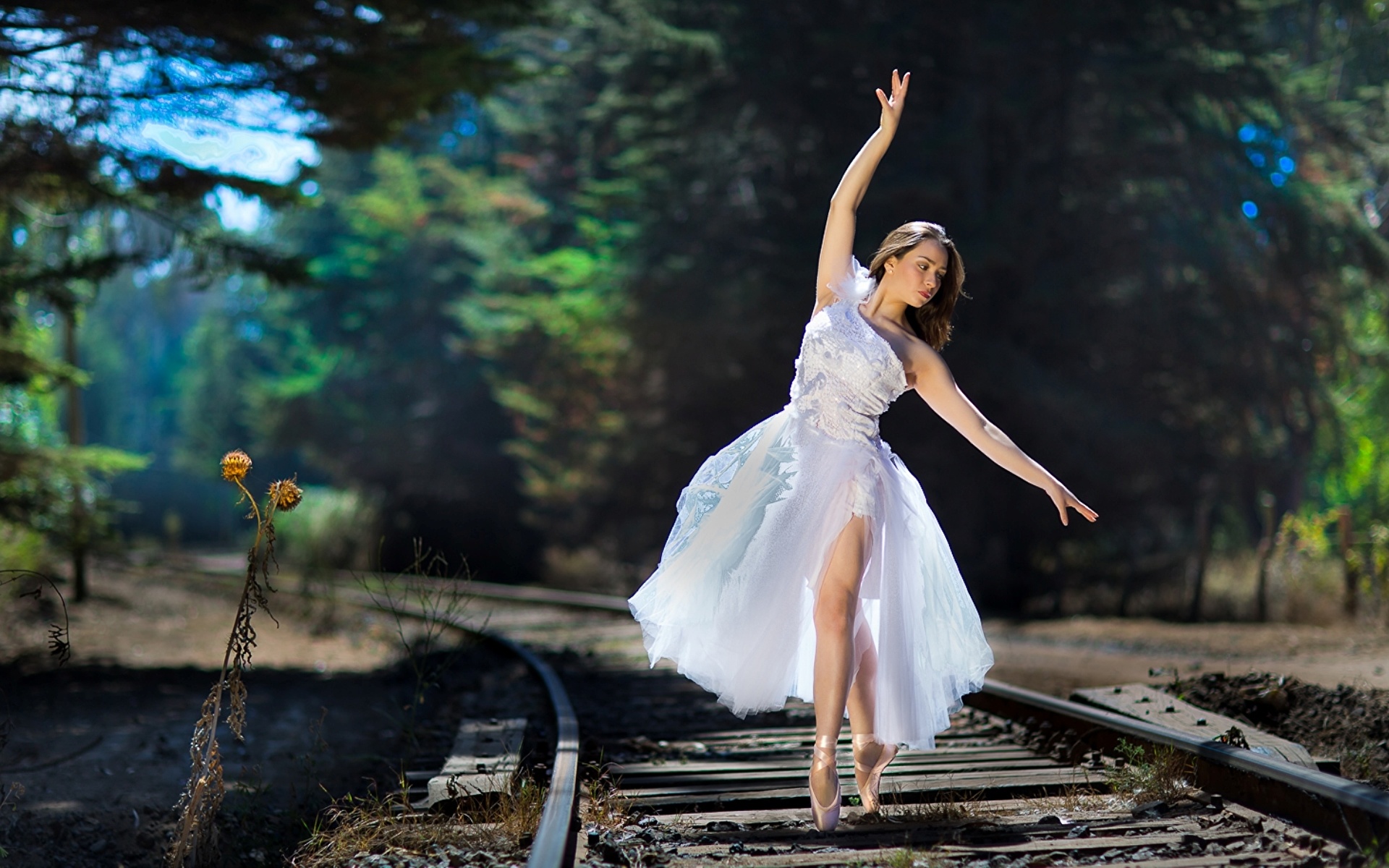 Desktop Wallpaper Ballet Girls Railroads Dress 1920x1200