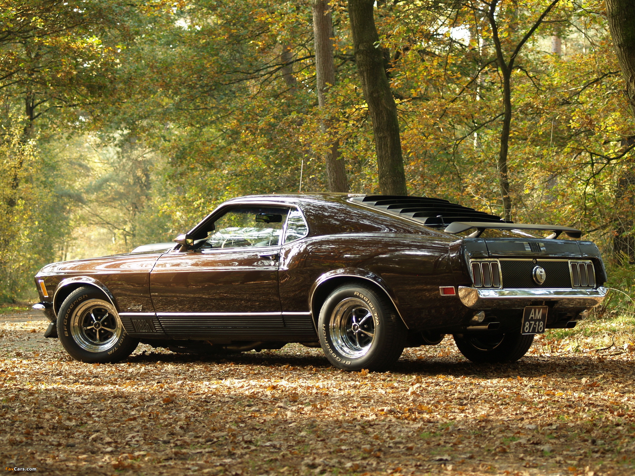 Mustang Mach 1 1970 wallpaper (2048x1536)