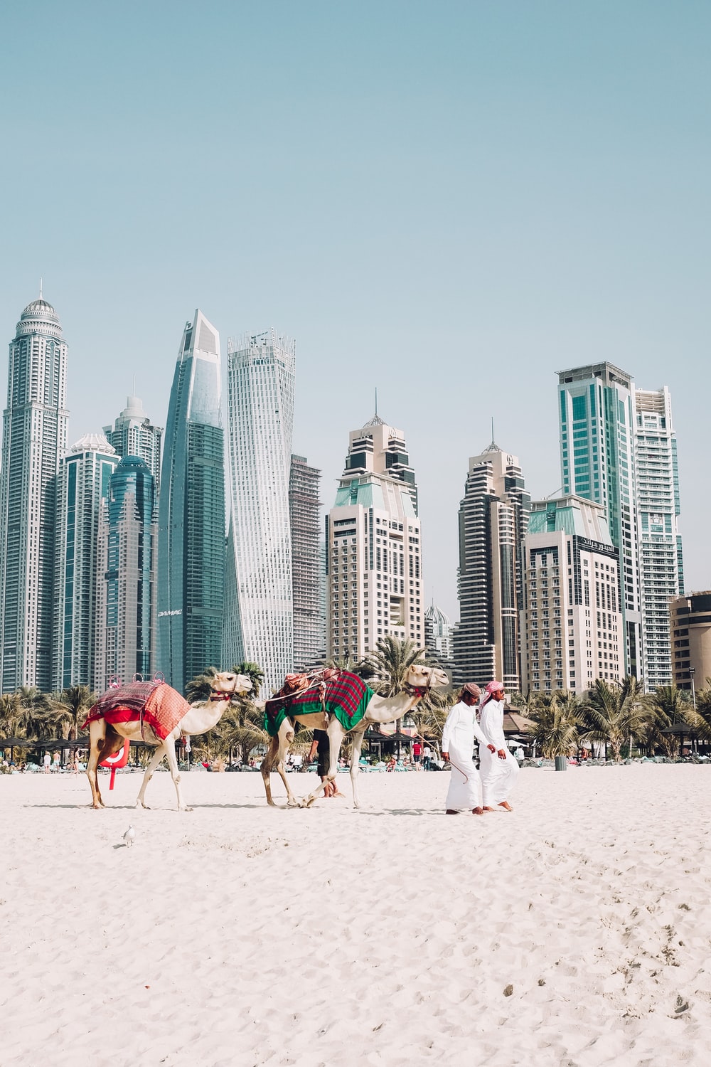 Dubai Beach Picture. Download Free Image