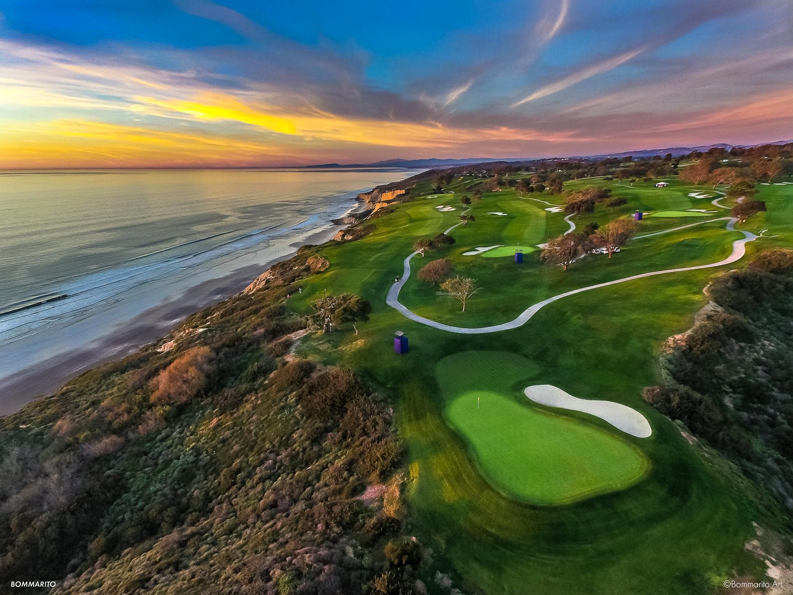 Torrey Pines For Sale