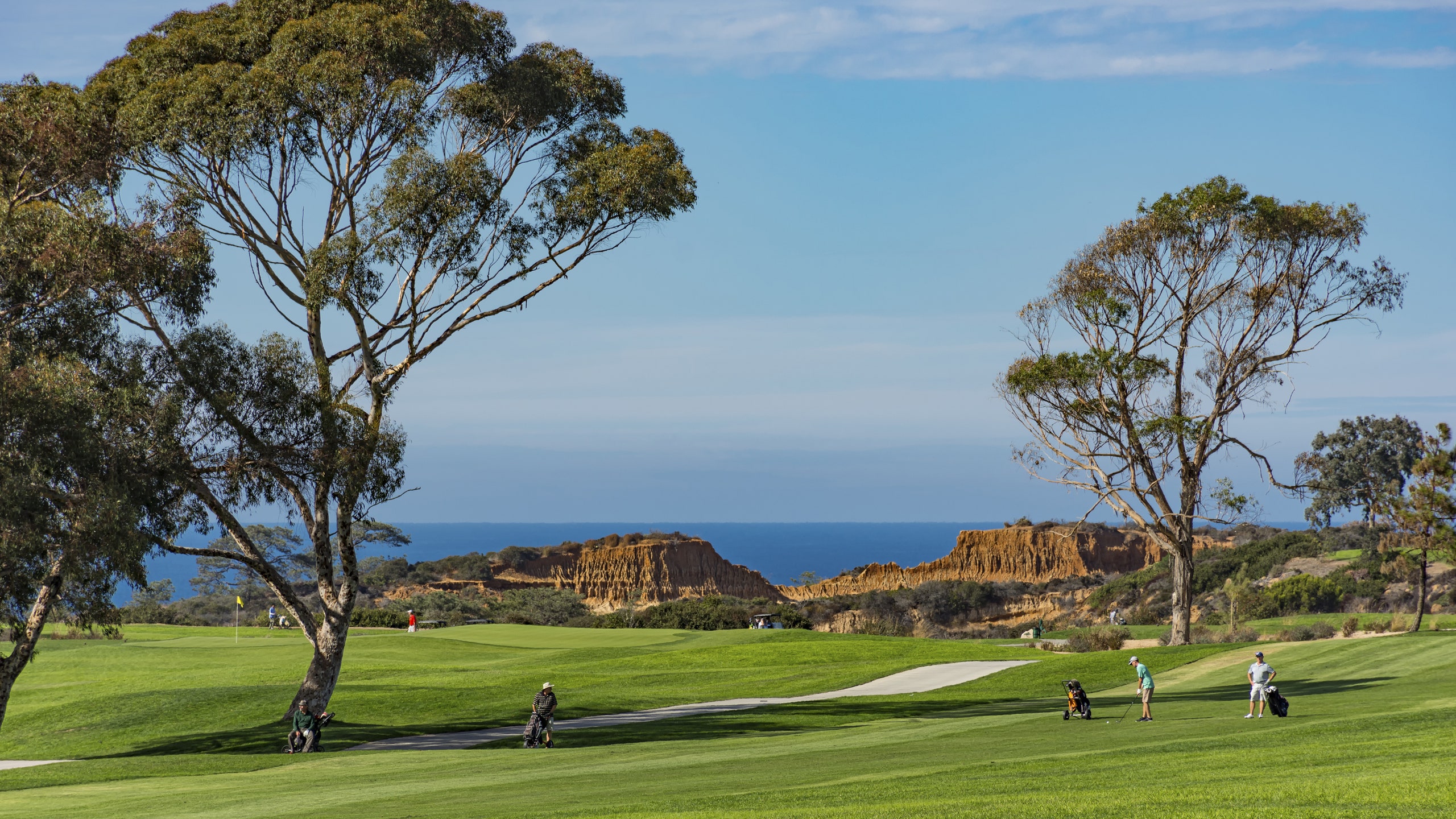 Torrey Pines Wallpapers Wallpaper Cave Torrey Pines Wallpapers Wallpaper Cave