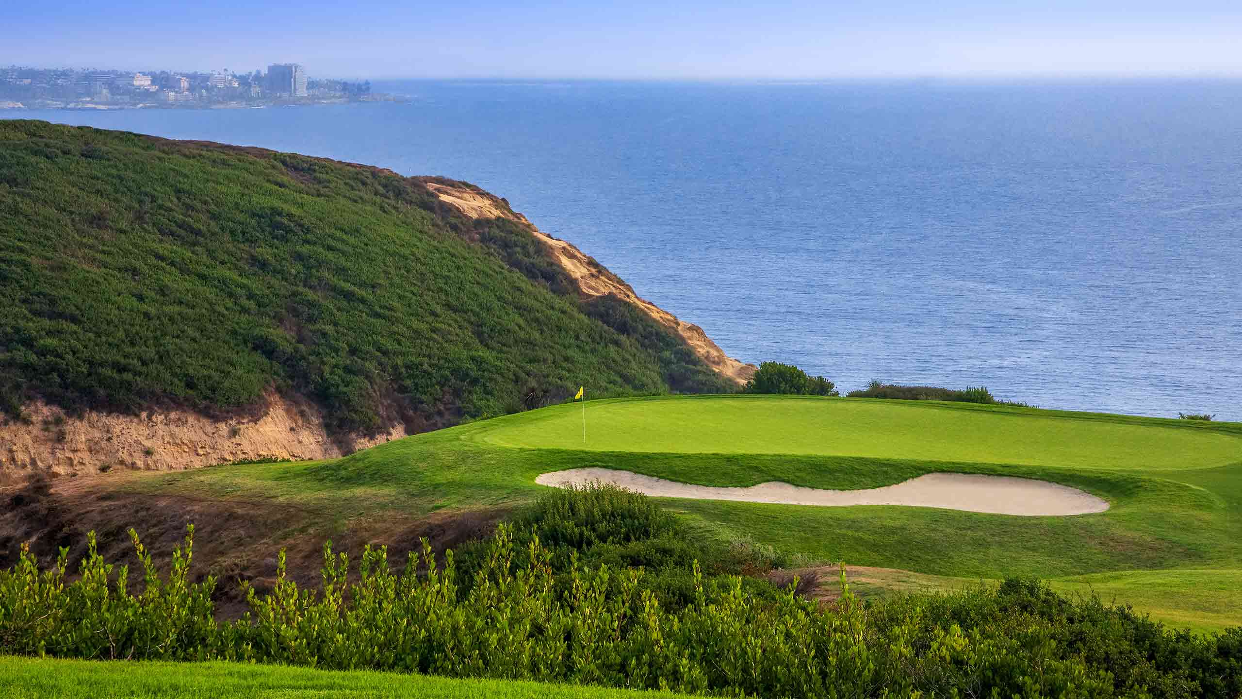 torrey-pines-wallpapers-wallpaper-cave