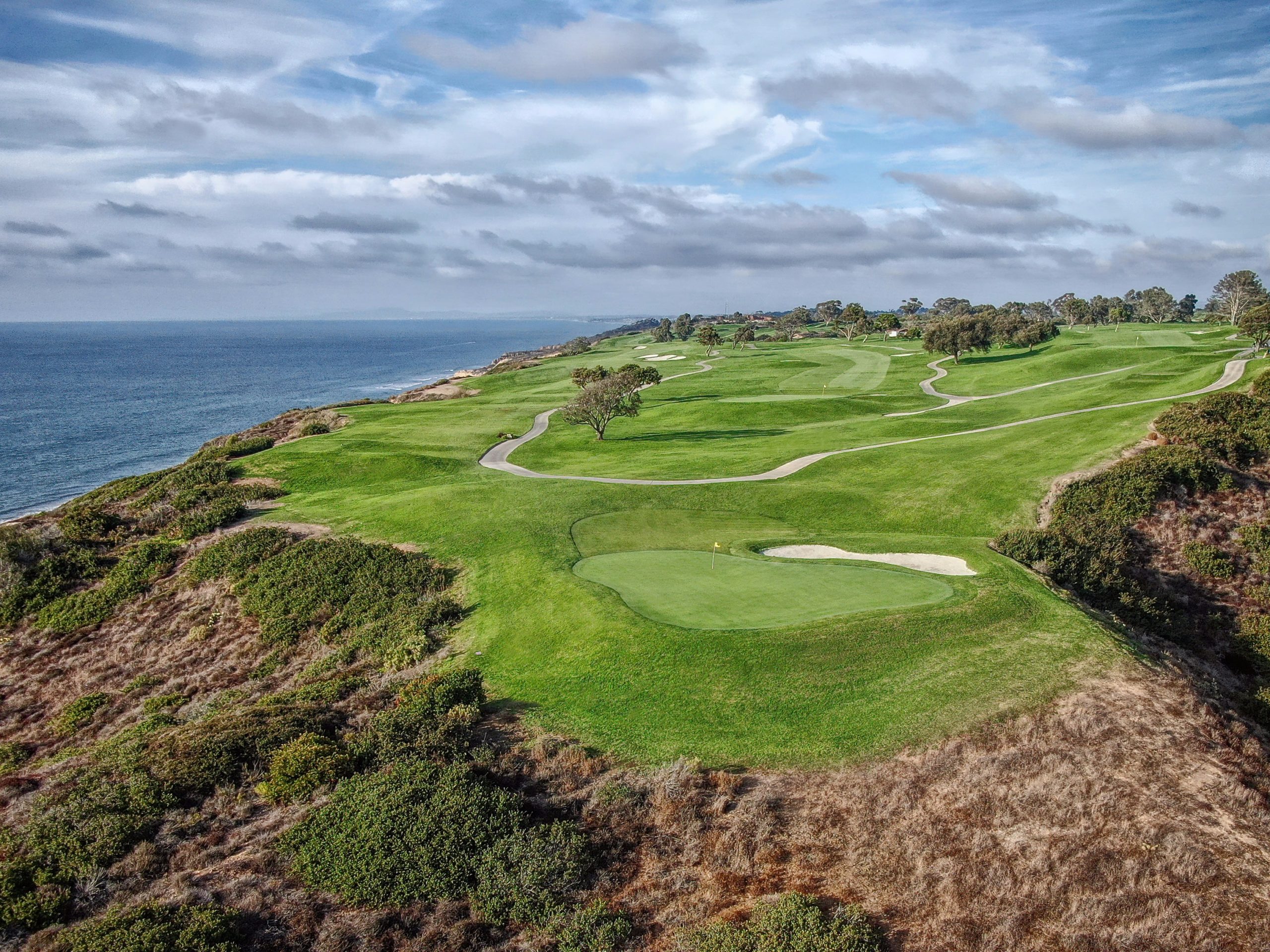 Torrey Pines Wallpapers Wallpaper Cave Torrey Pines Wallpapers Wallpaper Cave