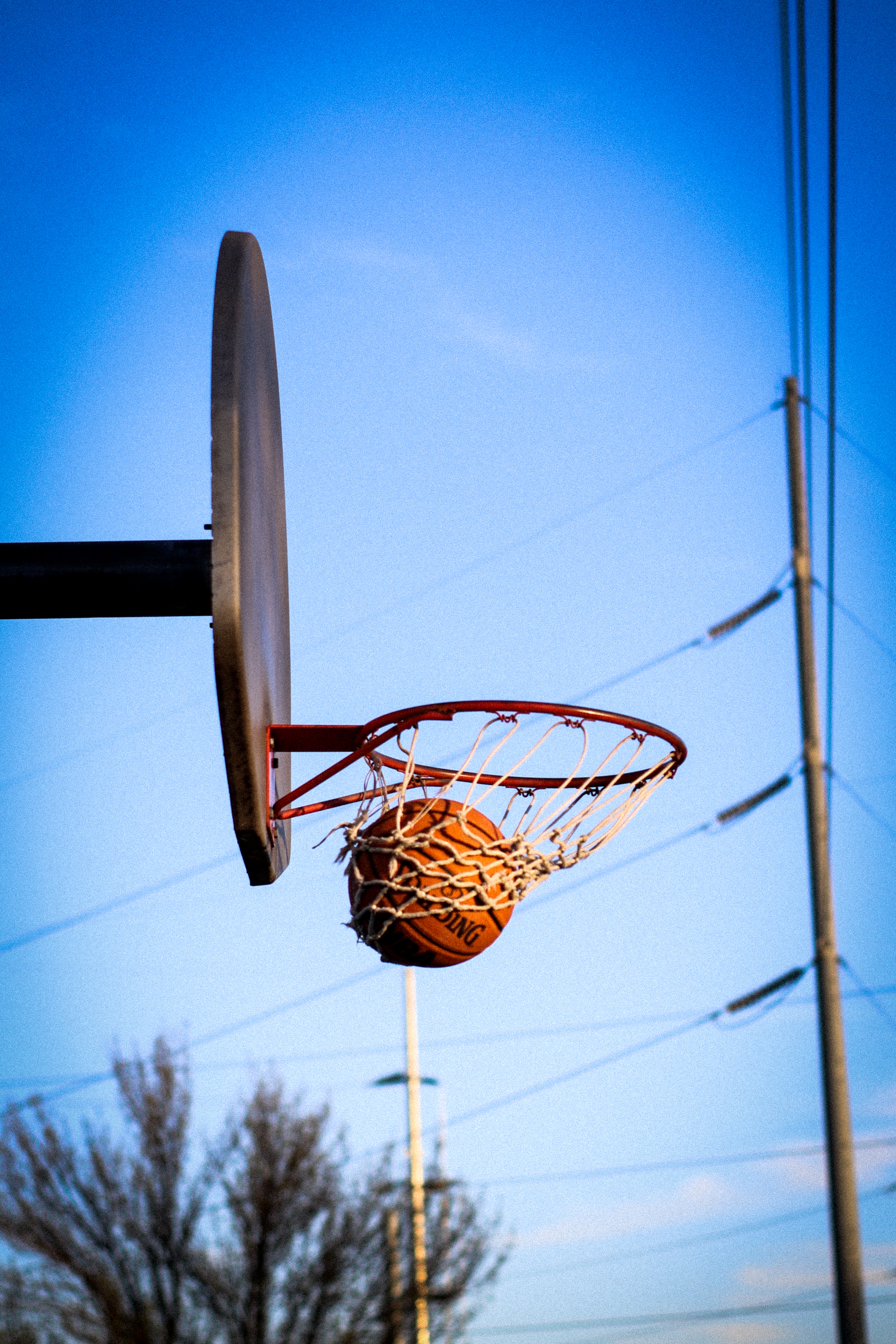 Basketball Net · Free