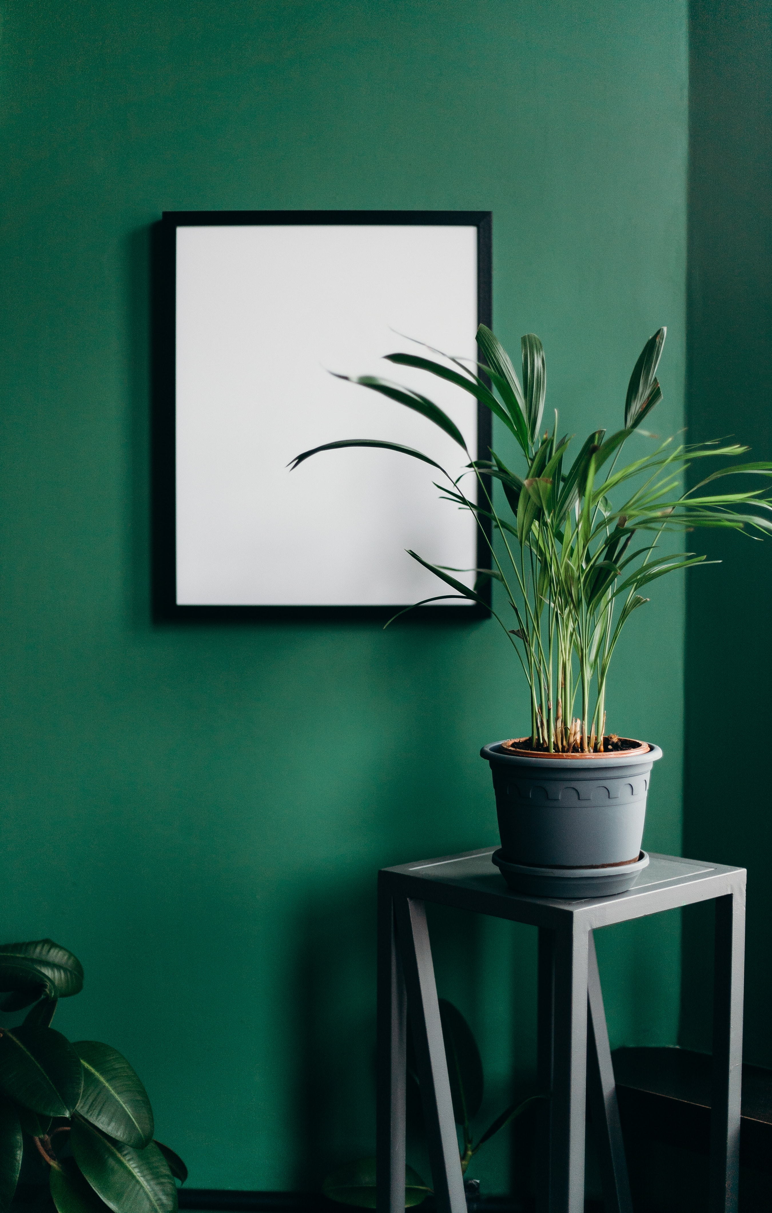 100,Best Flower Pot Photo · 100% Free Downloads