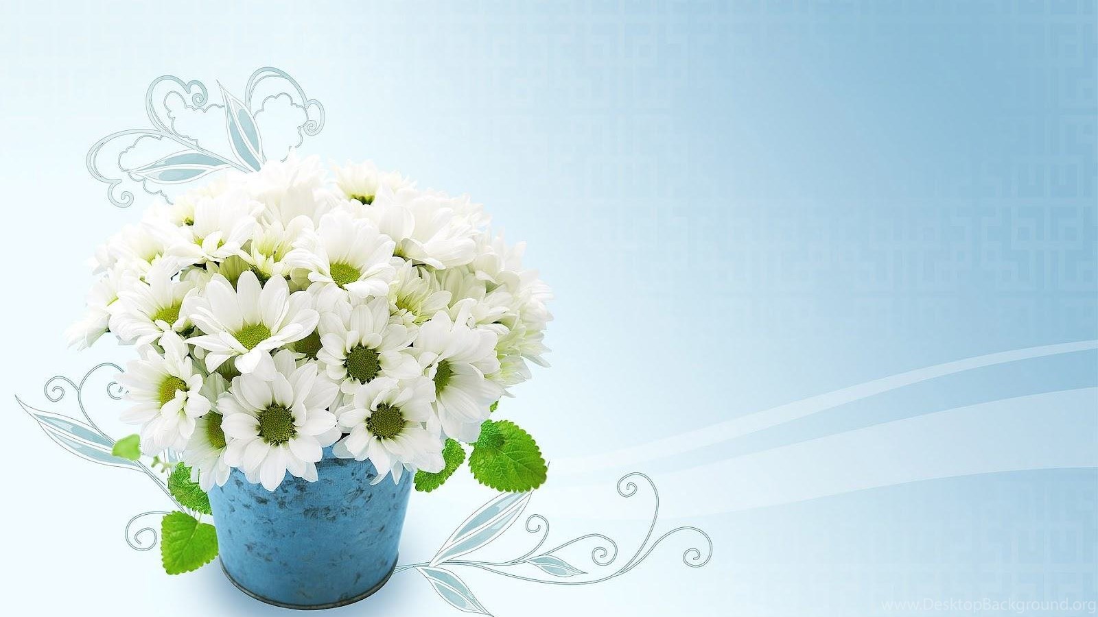 Flower Pot Wallpaper HD Wallpaper Pretty Desktop Background