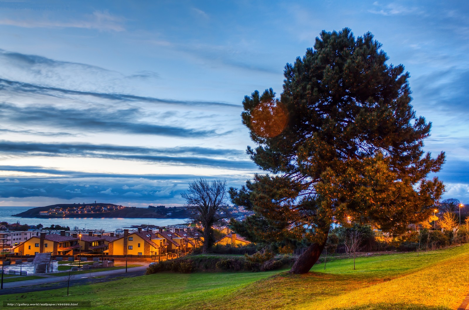 Download wallpaper Spain, La Coruna, tree, sky free desktop wallpaper in the resolution 4953x3279