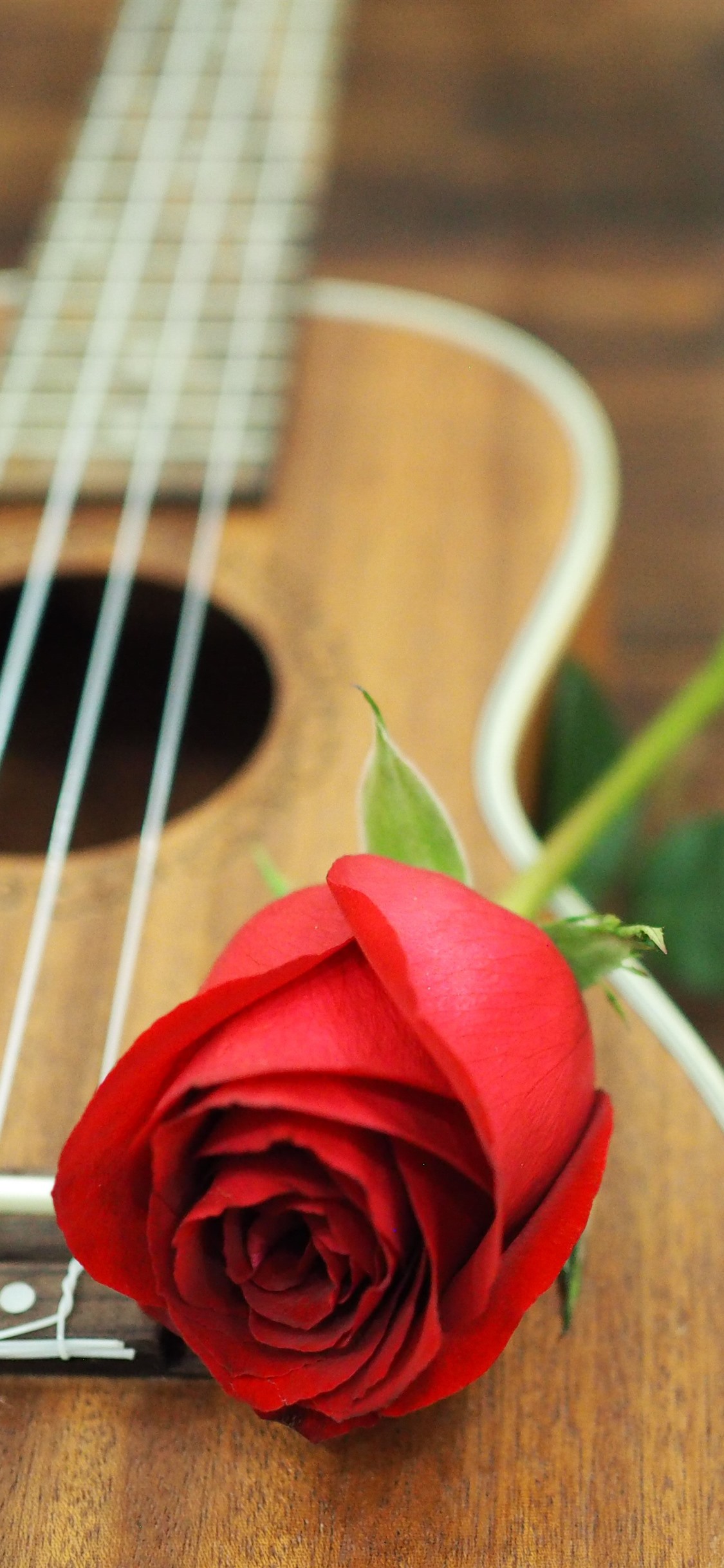 Red Rose, Guitar 1242x2688 IPhone 11 Pro XS Max Wallpaper, Background, Picture, Image