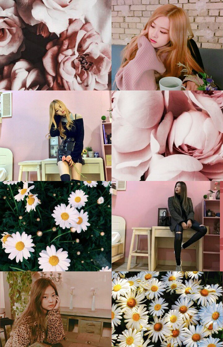 moewzs #LetLeniLead2022 and Daisy. I made #chaennie wallpaper, because why not? I miss Chaennie. I miss Blackpink