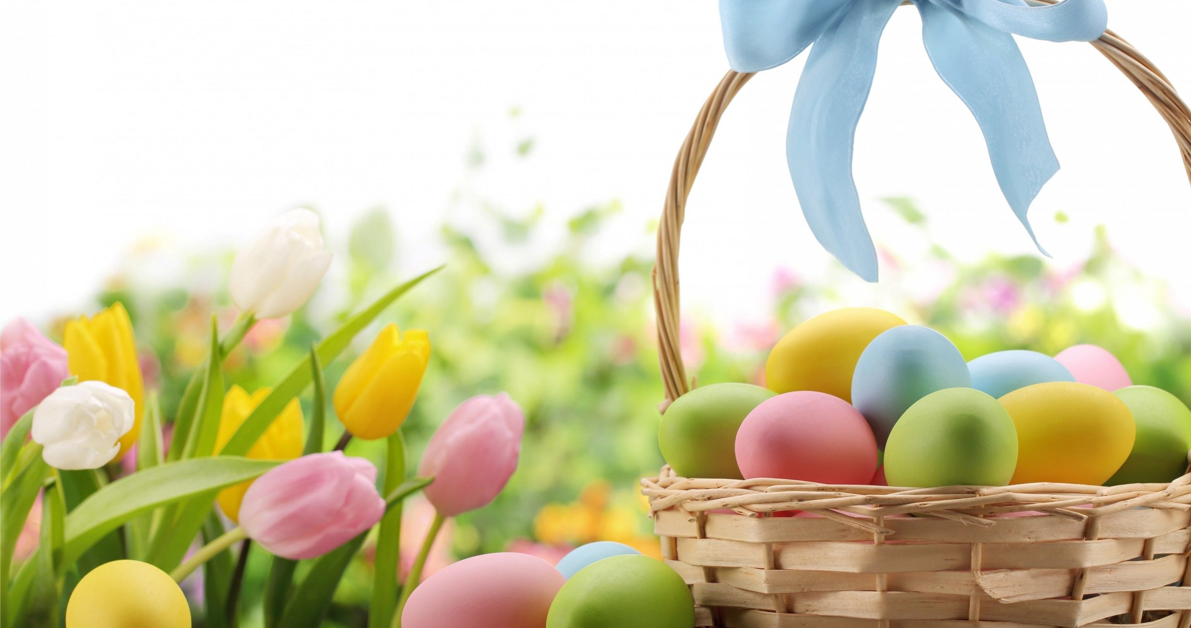 eggs easter and flowers 4k ultra HD wallpaper. Easter flowers, Happy easter messages, Happy easter wishes