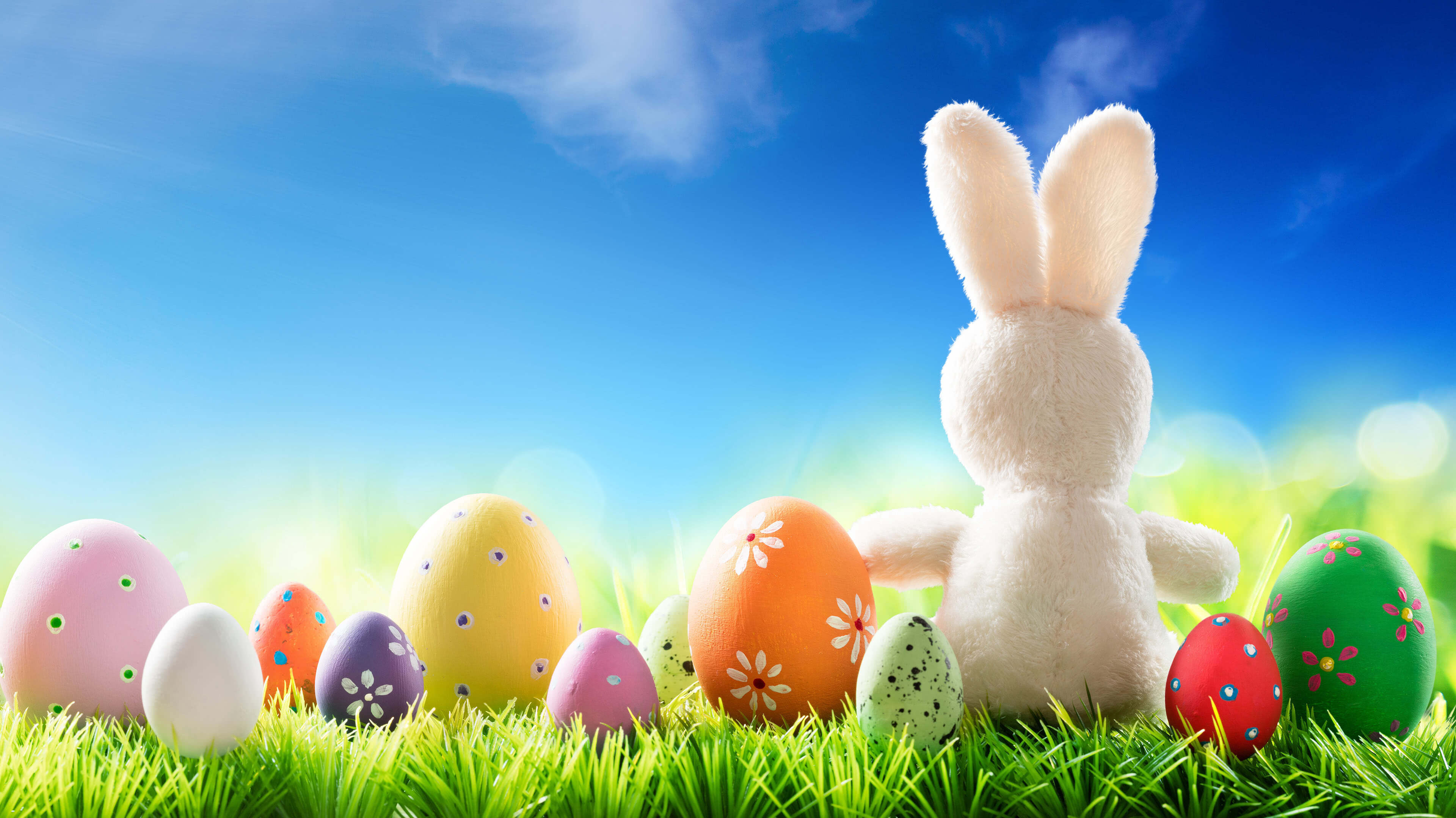 Easter Rabbit And Eggs Wallpaper