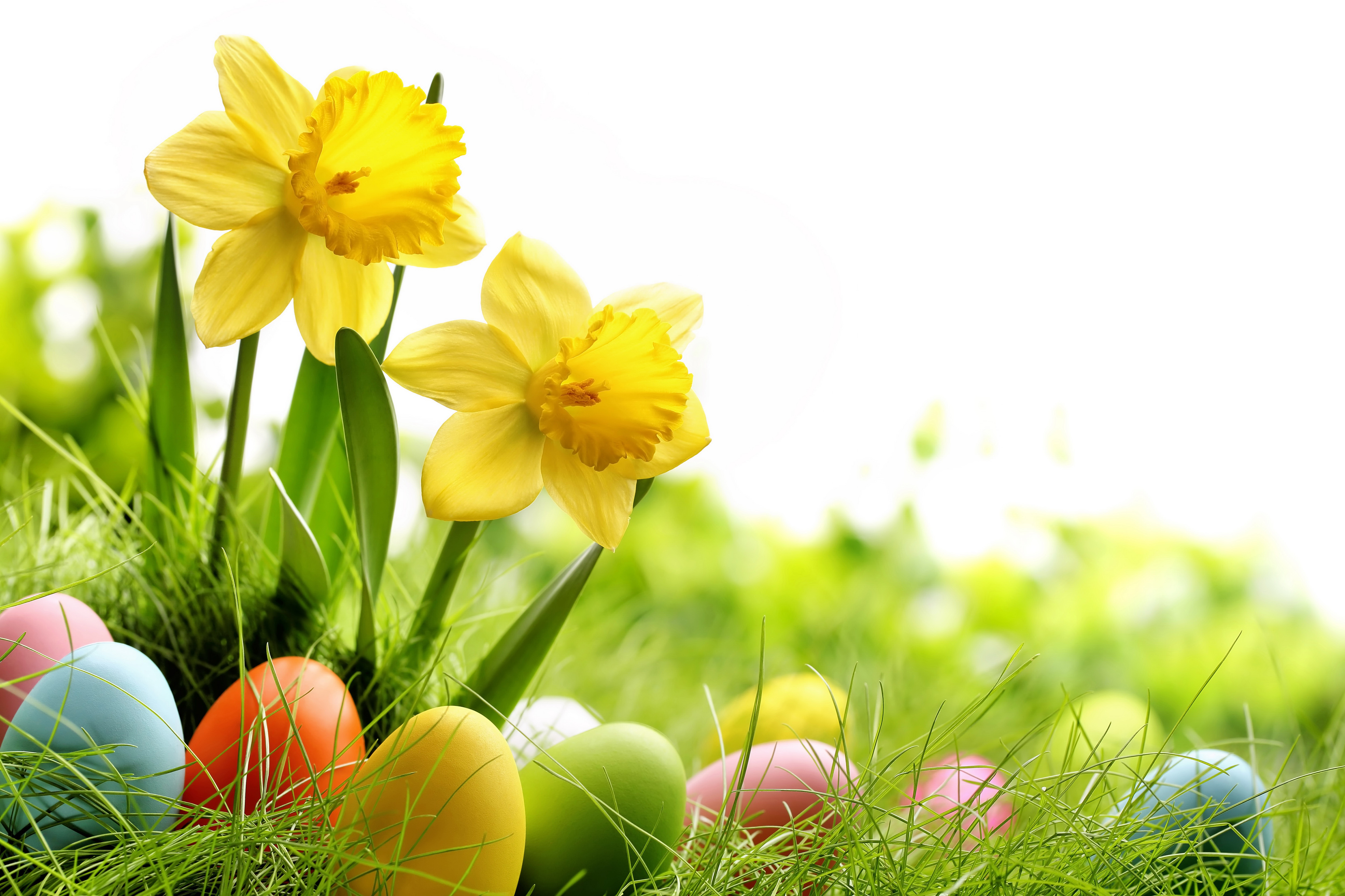 Holiday Easter 4k Ultra HD Wallpaper