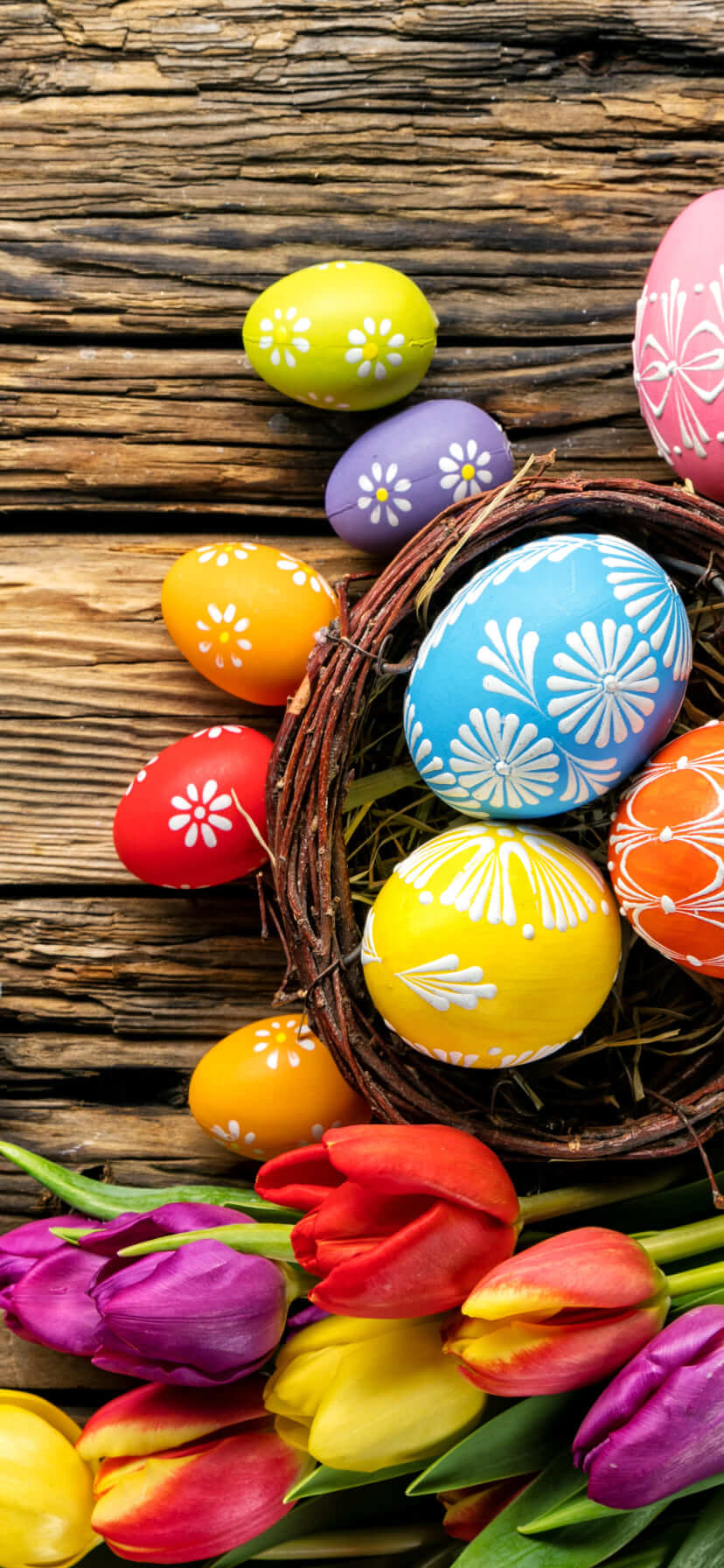 Eggs 4K Easter Wallpaper iPhone 13 pro max Easter background