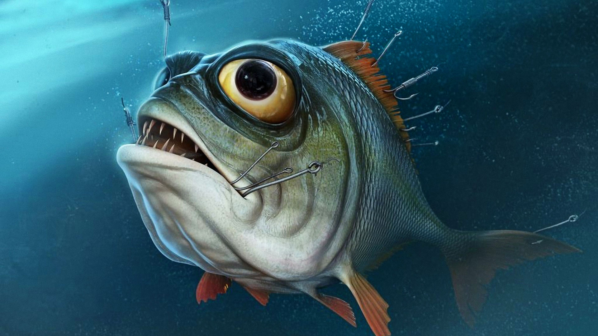 bass fishing wallpaper hd, fish, fish, deep sea fish, marine biology, bony fish