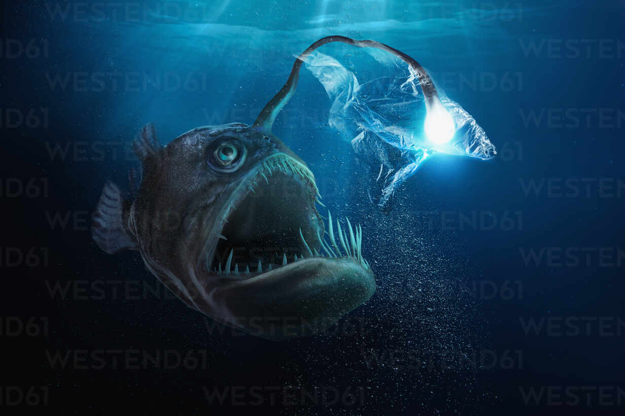 Large deep sea fish with light bulb trapped in plastic bag