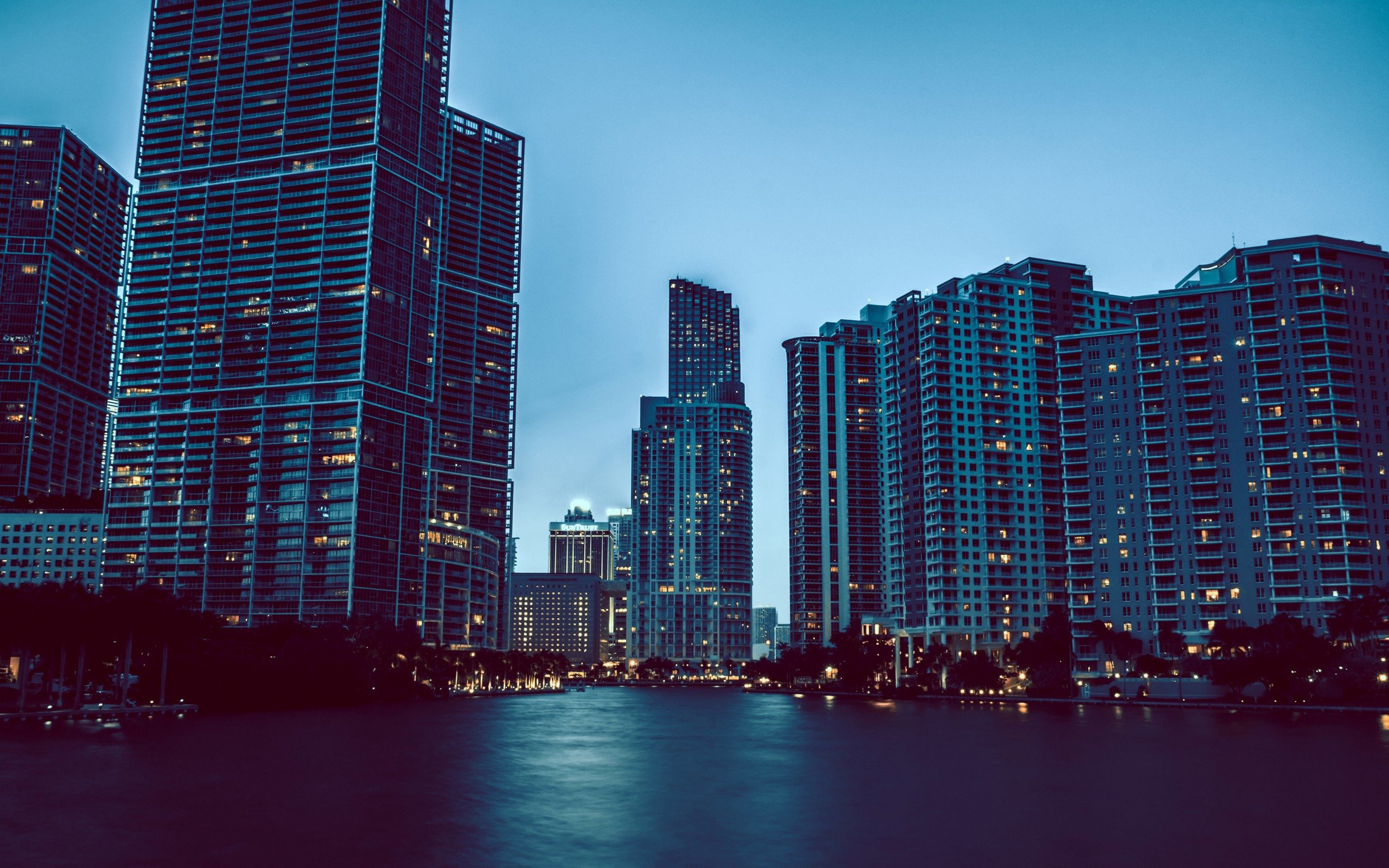 Miami Night Cityscapes Cities Photo HD Wallpaper