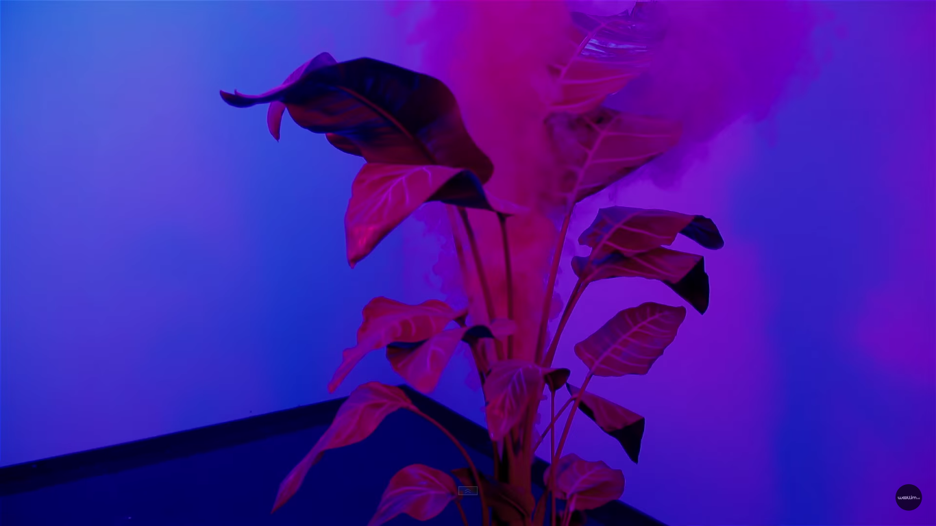 Image result for kpop mv aesthetic. Album covers, Gif, Concert